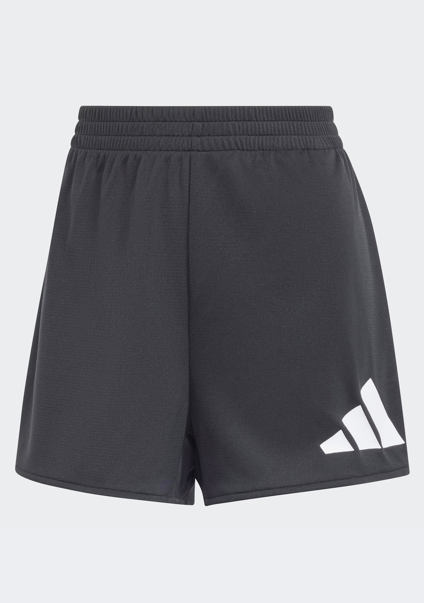 Adidas Women's Essentials Big Logo Training Shorts