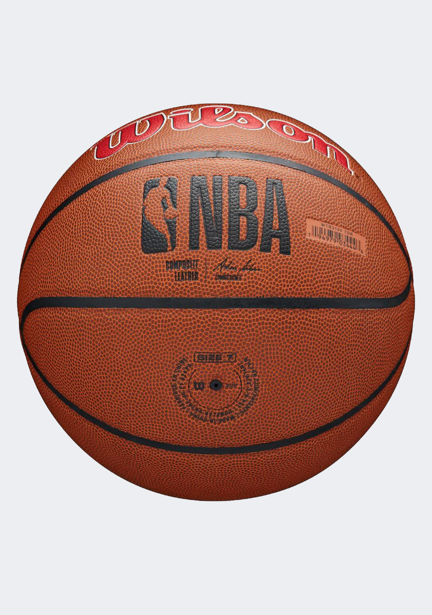 Wilson NBA Team Alliance Basketball Toronto Raptors