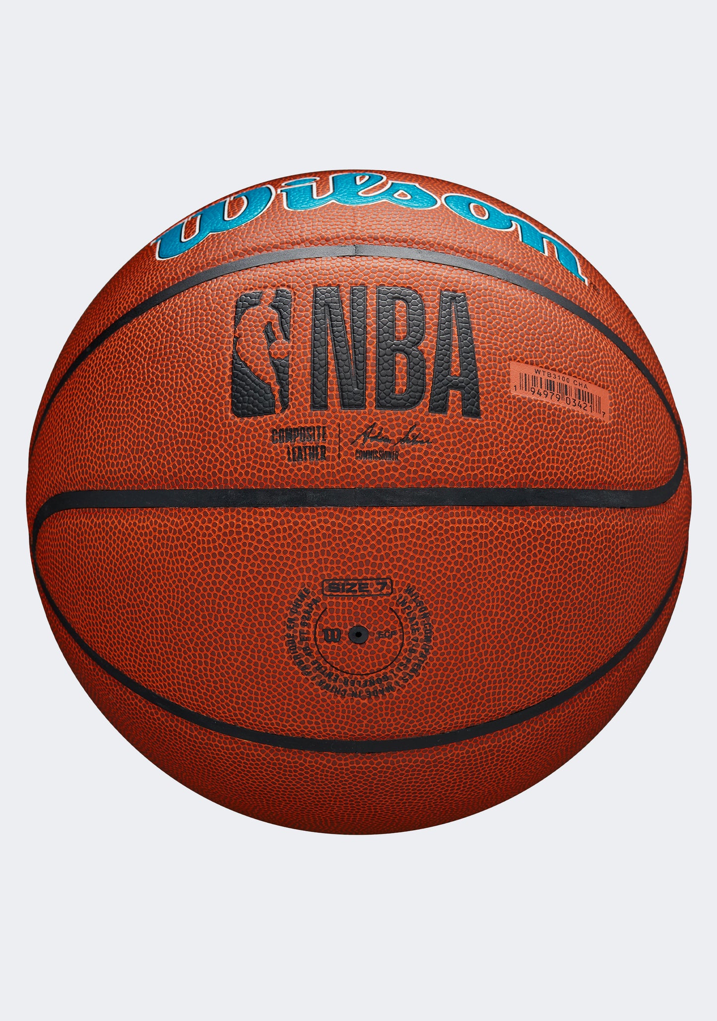 Wilson NBA Team Alliance Charlotte Hornets