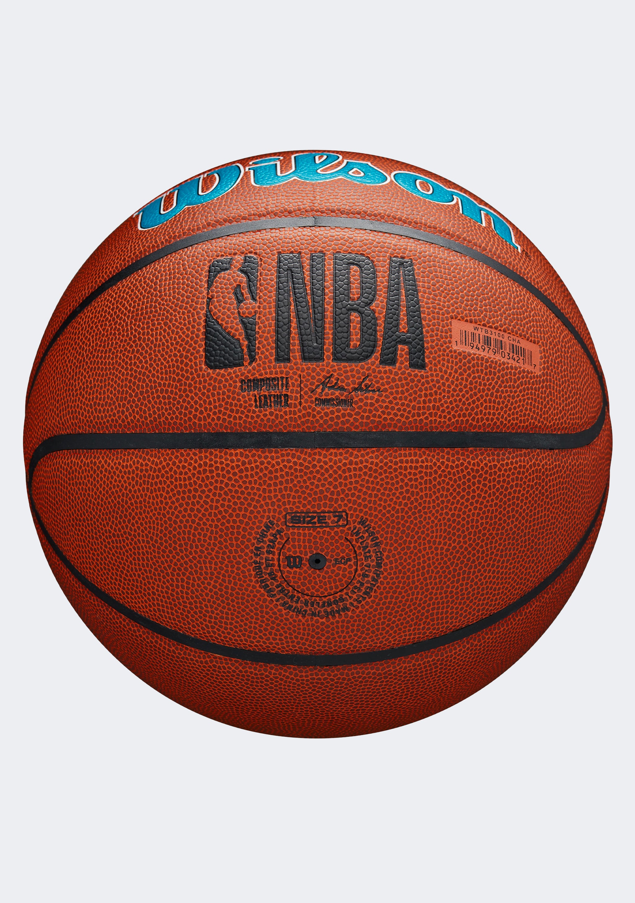 Wilson NBA Team Alliance Charlotte Hornets