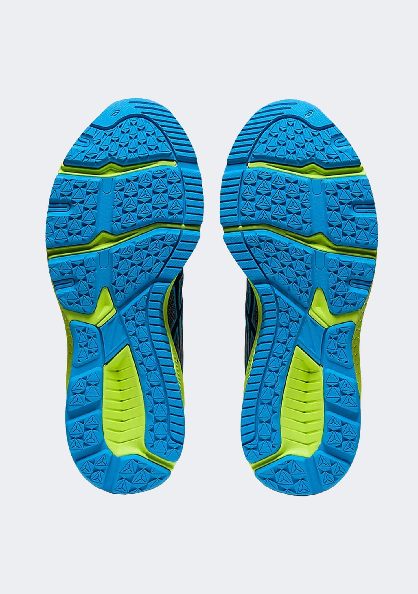 Asics Junior GT-1000 10 GS