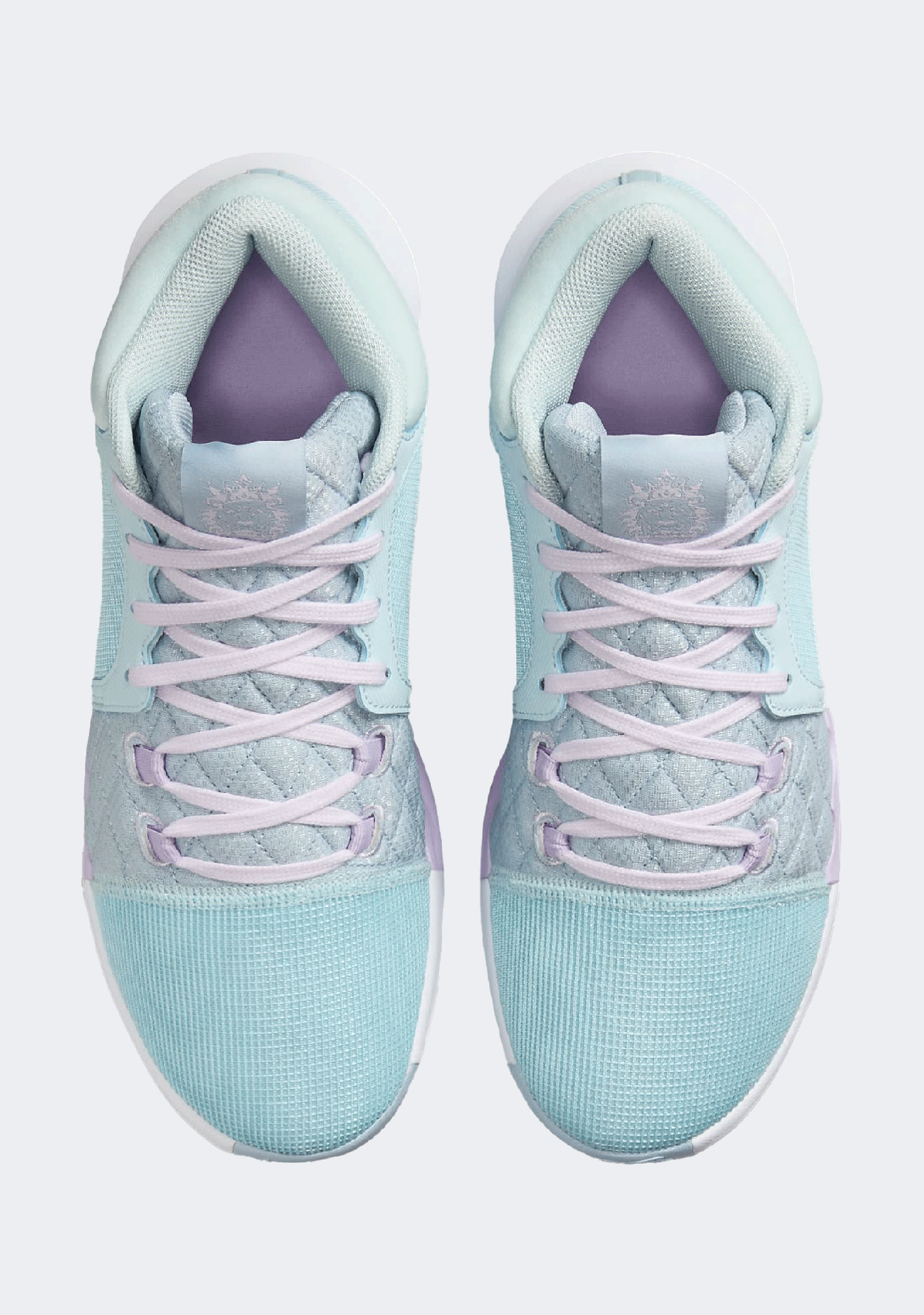 Nike Men's Lebron Witness VIII