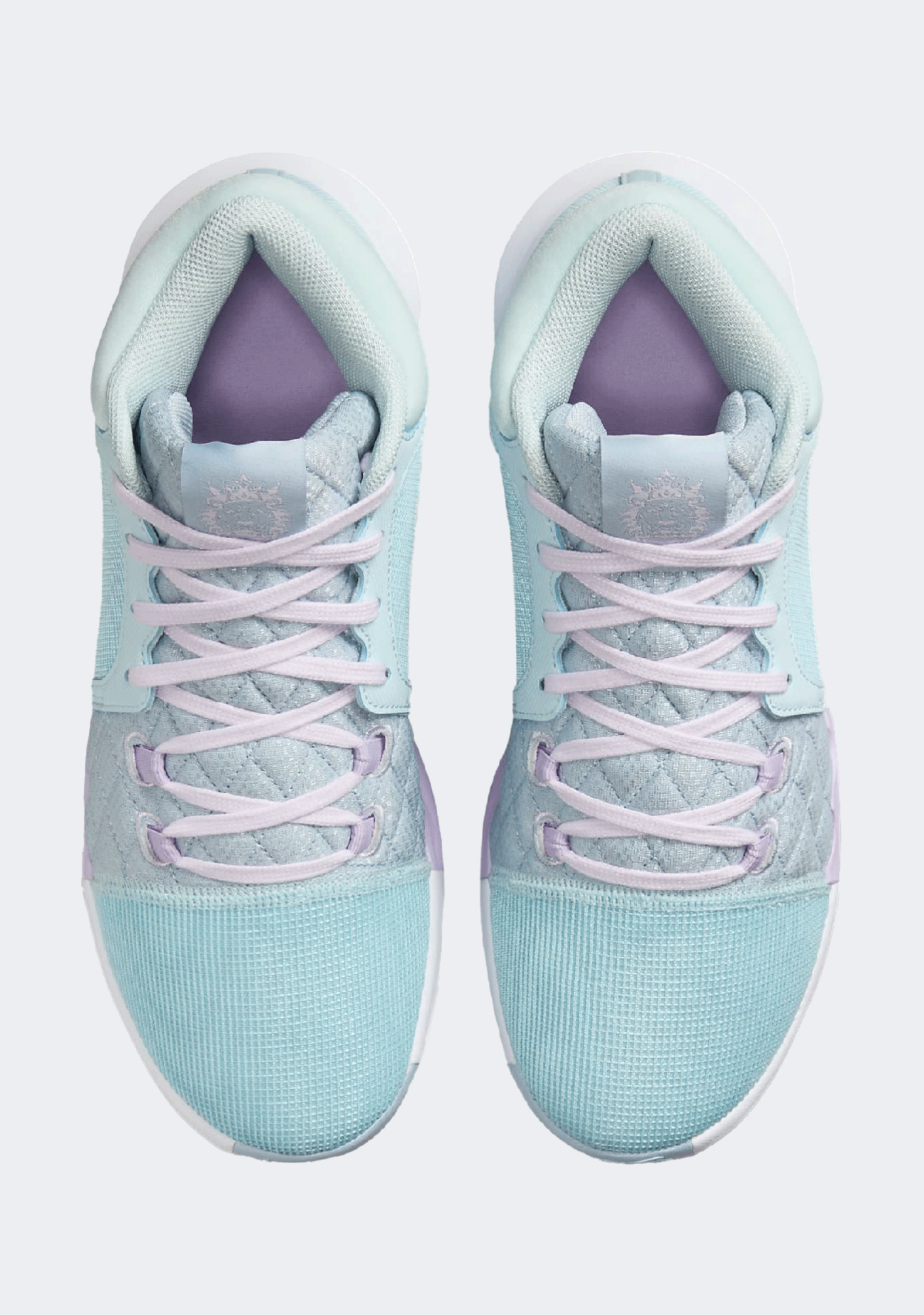 Nike Men's Lebron Witness VIII