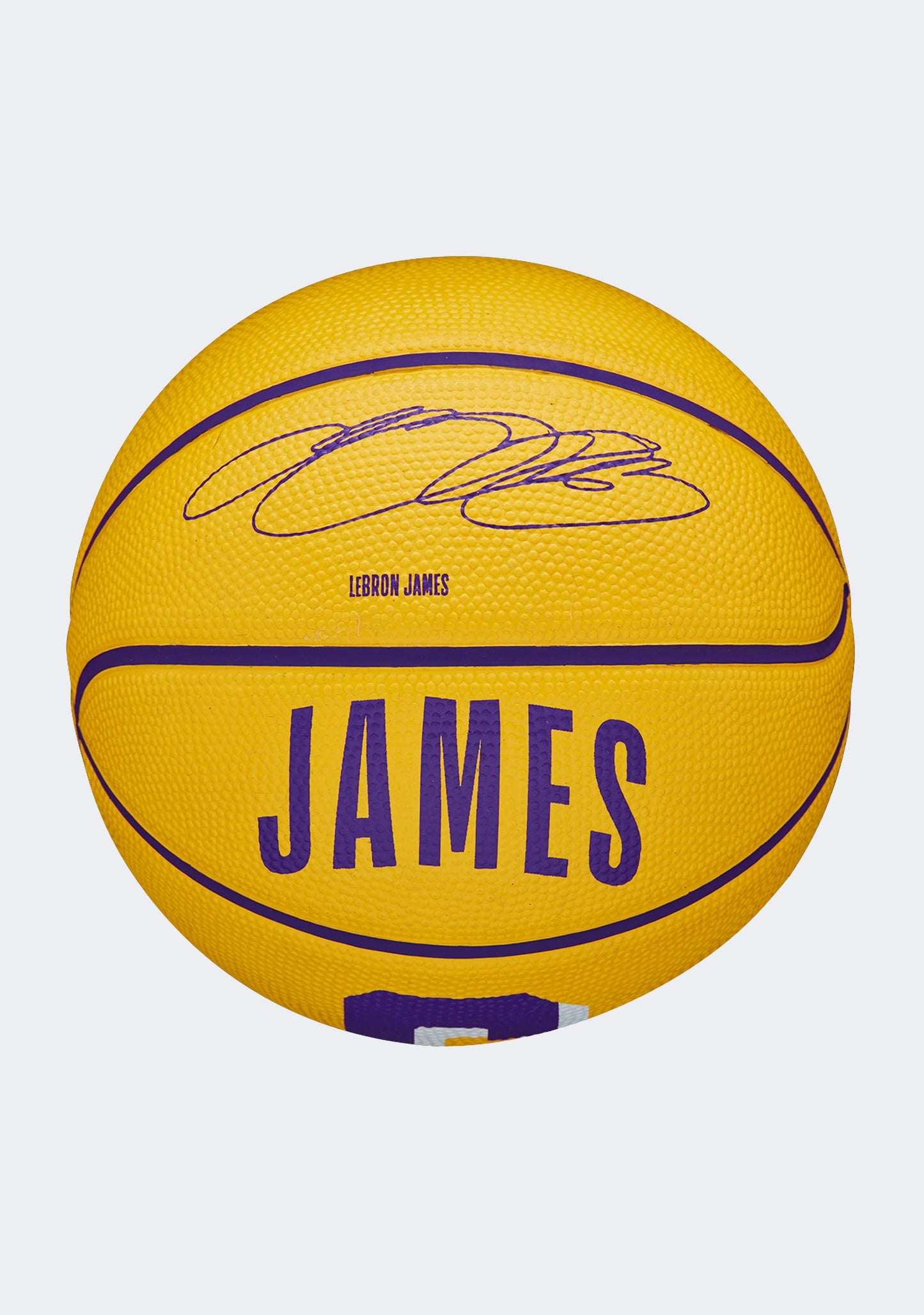 Wilson NBA Player Icon Mini Basketball LeBron James