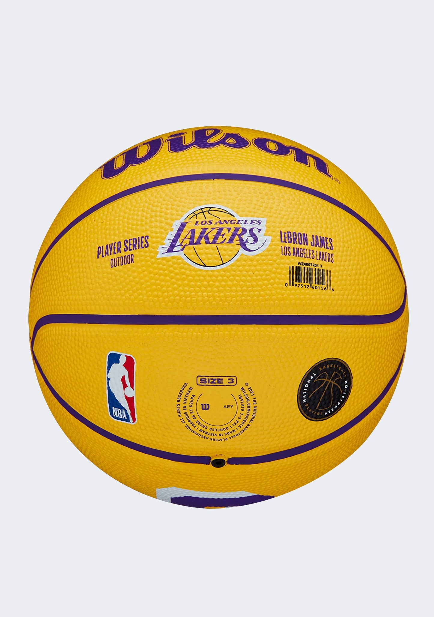 Wilson NBA Player Icon Mini Basketball LeBron James