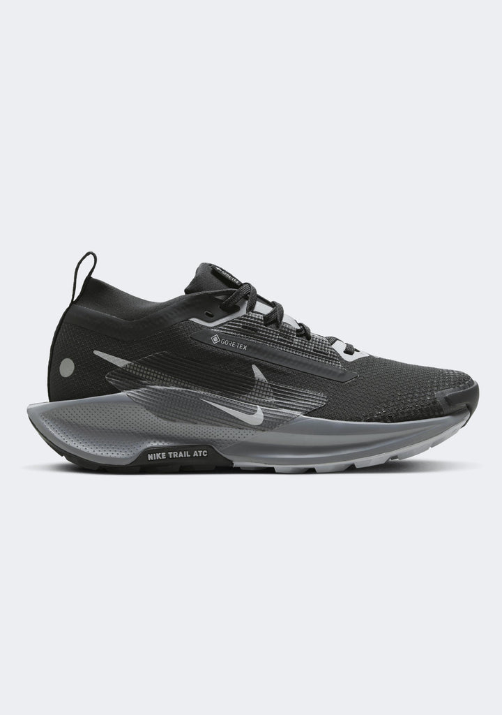 Nike Women's Pegasus Trail 5 GTX