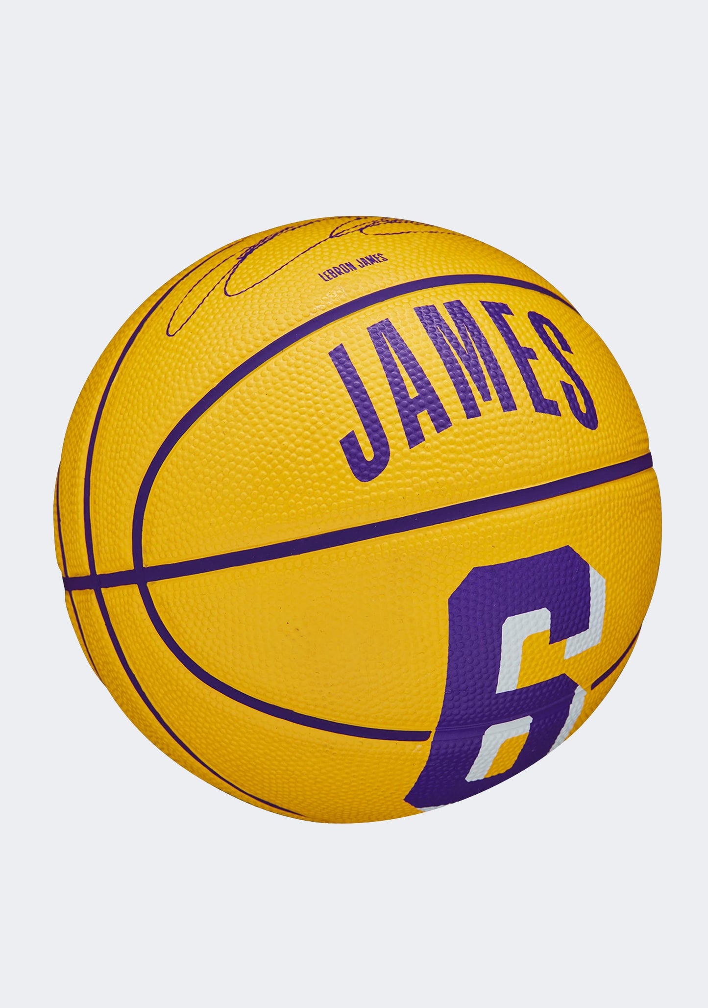 Wilson NBA Player Icon Mini Basketball LeBron James