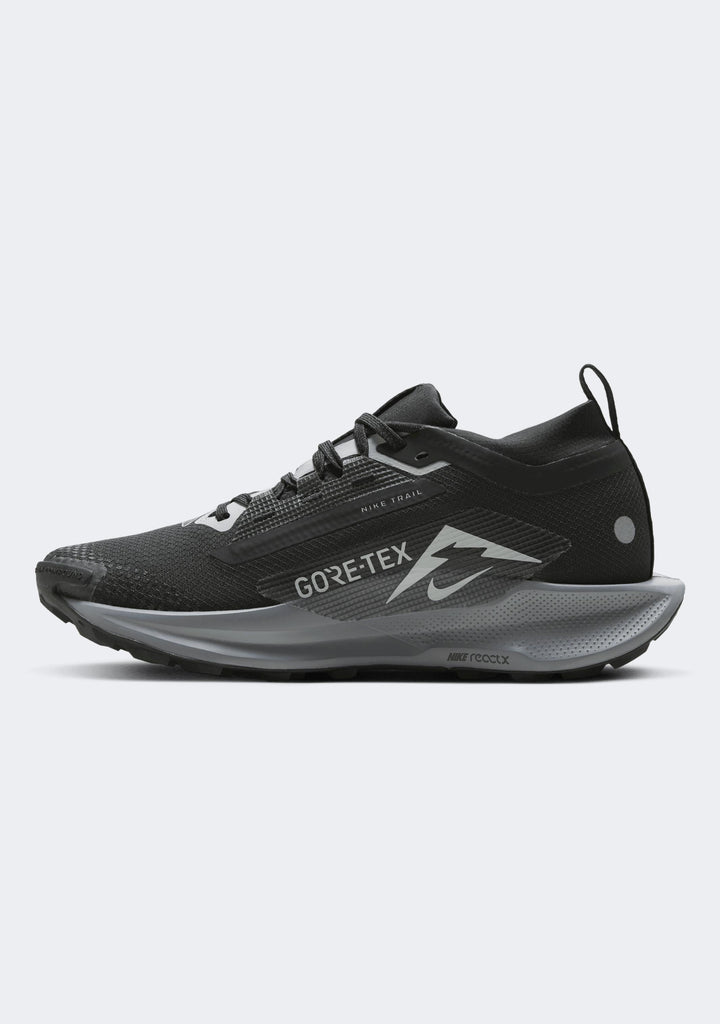 Nike Women's Pegasus Trail 5 GTX