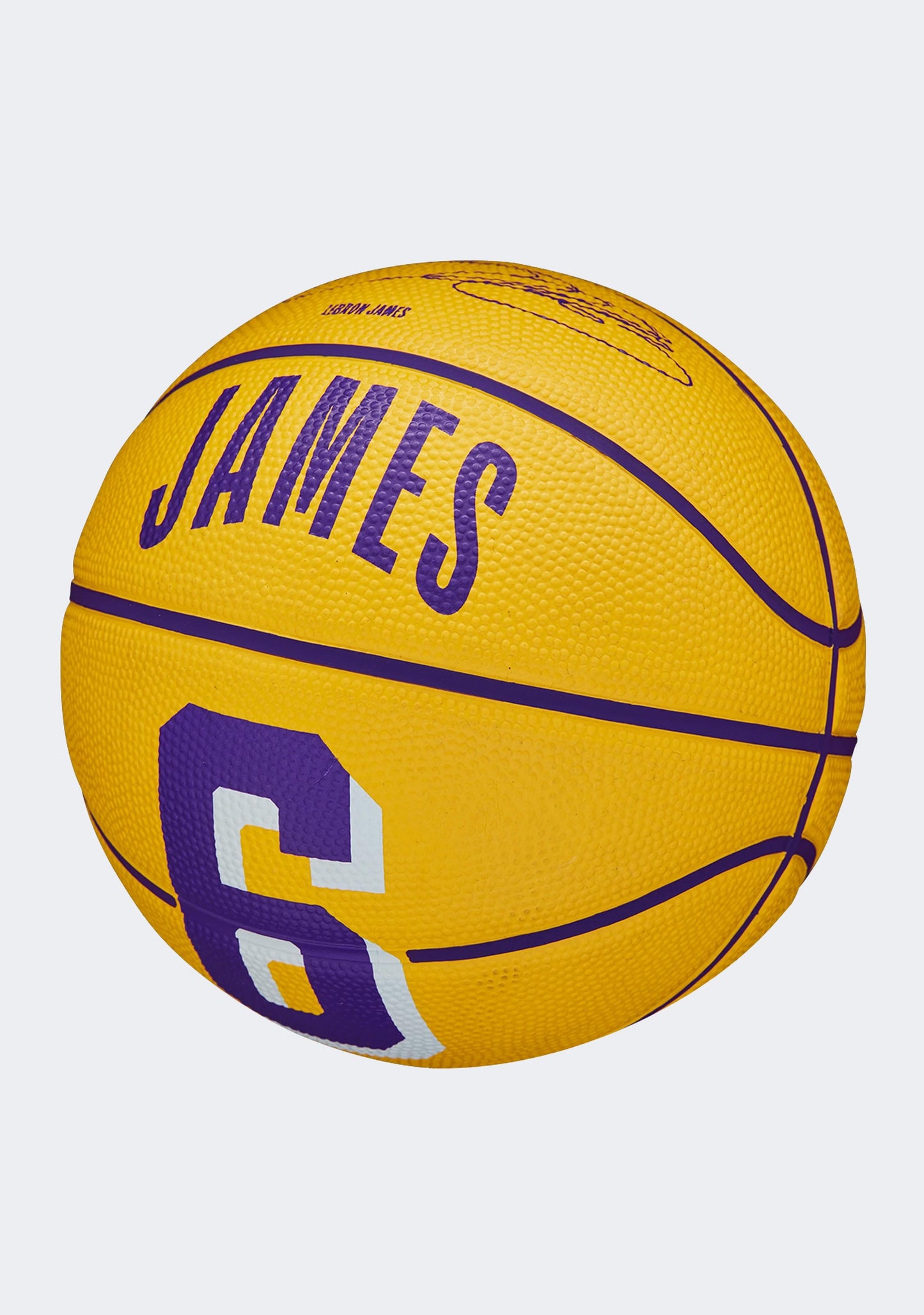Wilson NBA Player Icon Mini Basketball LeBron James