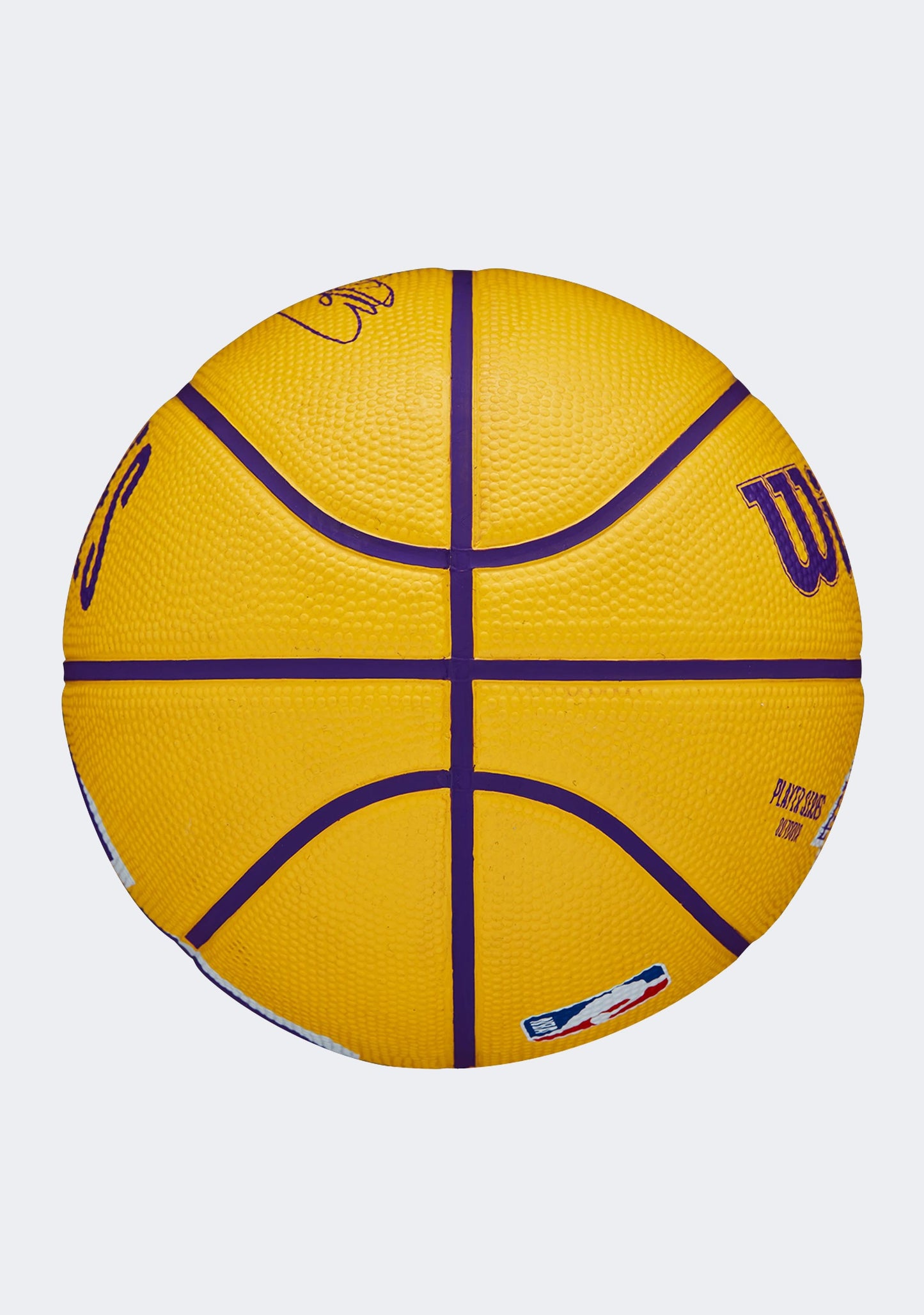 Wilson NBA Player Icon Mini Basketball LeBron James