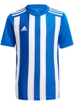 Adidas Youth Striped 21 Jersey Blue/White <br> GH7323