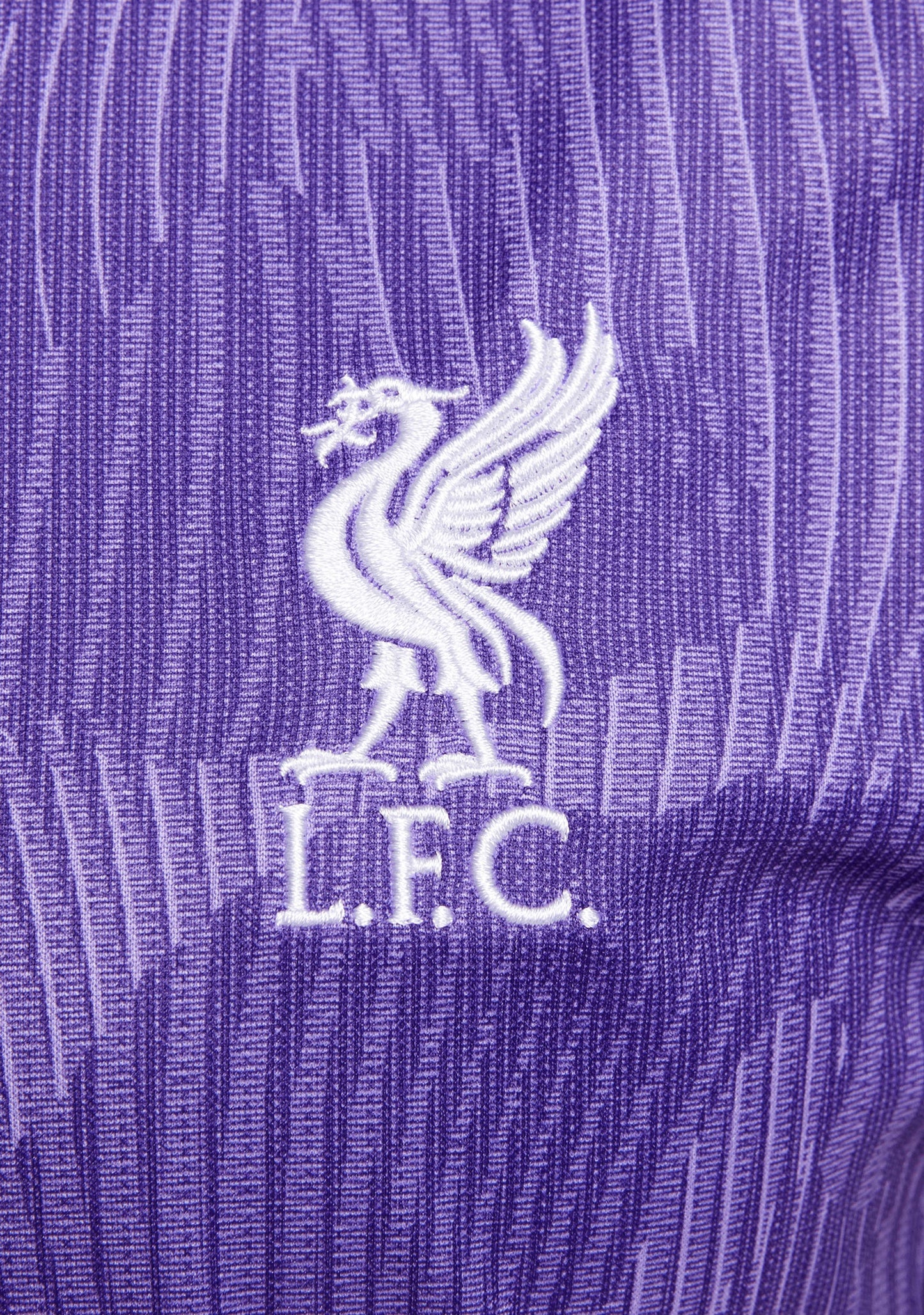 Nike Women's Liverpool F.C. 2023/24 Stadium Third Dri-FIT Jersey <br> DX9835 568