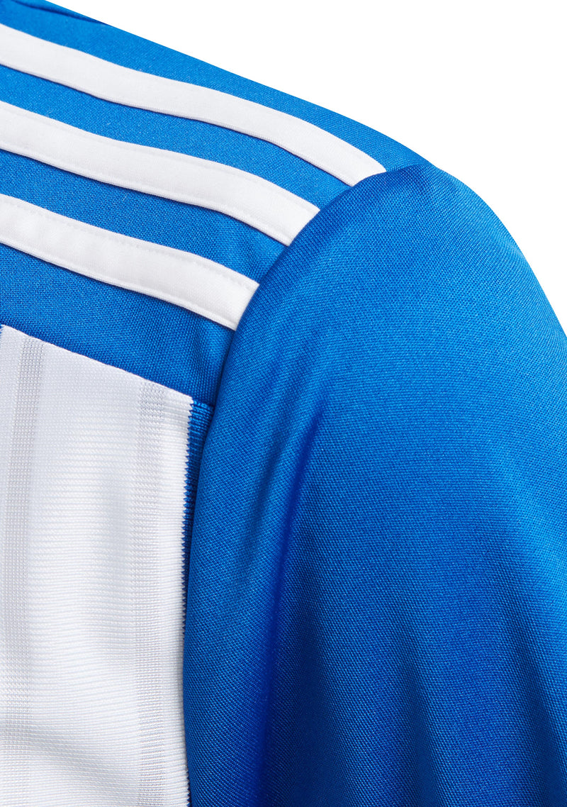 Adidas Youth Striped 21 Jersey Blue/White <br> GH7323