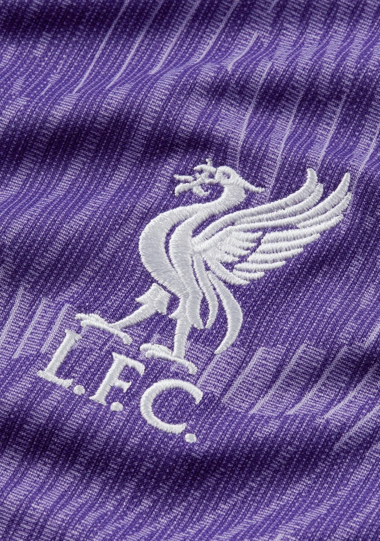 Nike Women's Liverpool F.C. 2023/24 Stadium Third Dri-FIT Jersey <br> DX9835 568