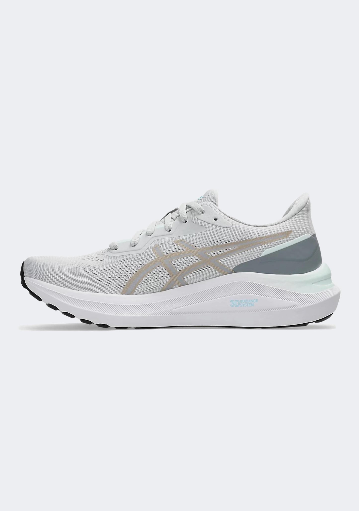 Asics Women's GT 1000 13