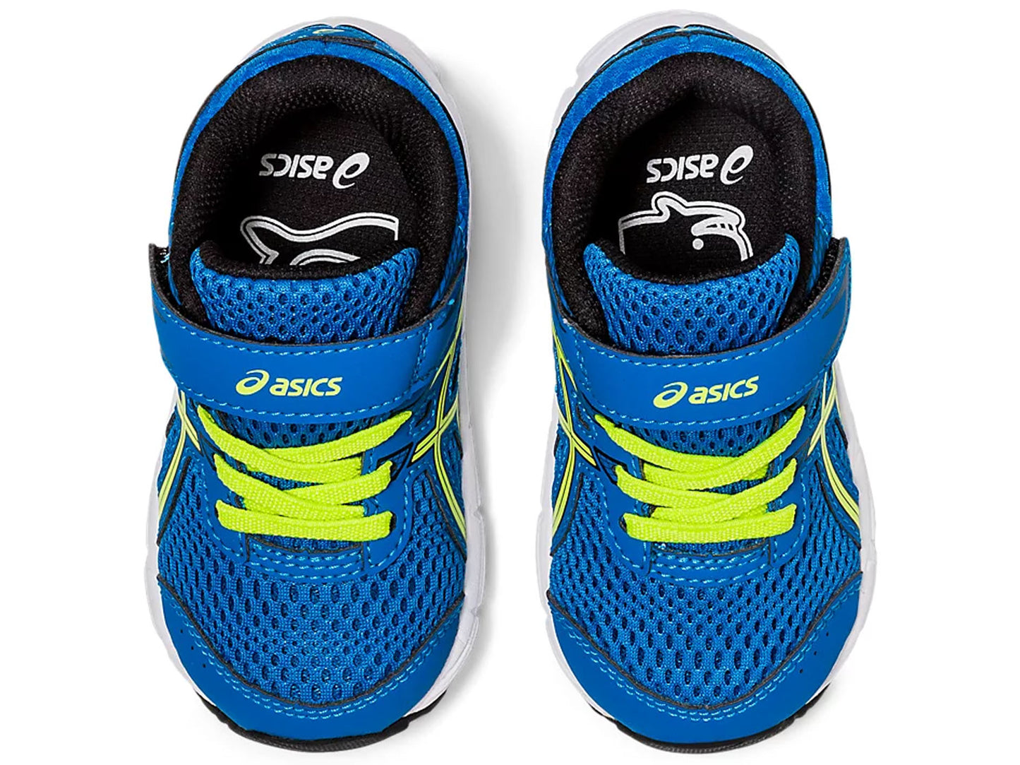 Asics Contend 6 TS
