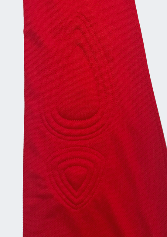 Nike Men's Park II Goalie Jersey