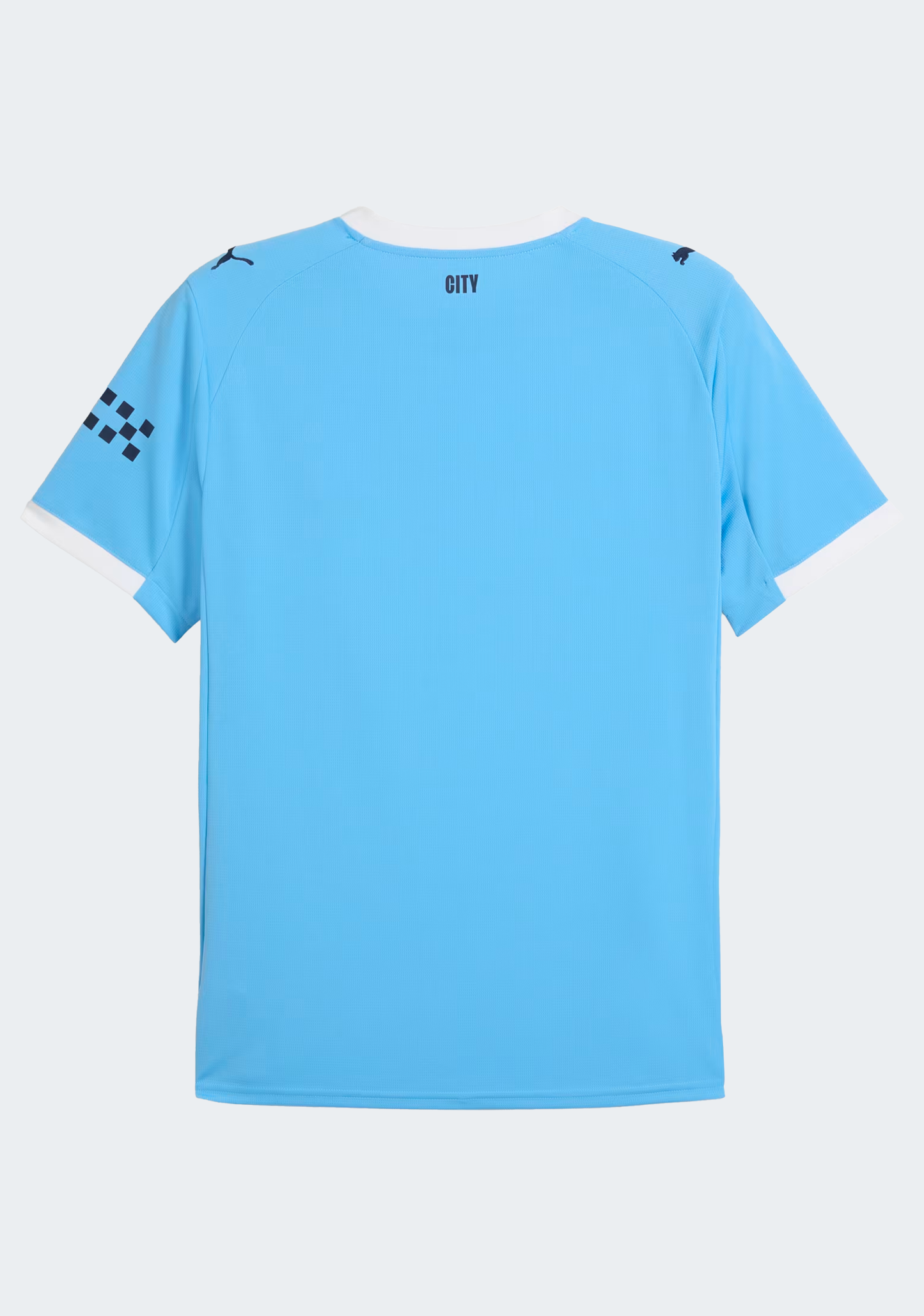 Puma Men's Manchester City 25/26 Home Replica Jersey