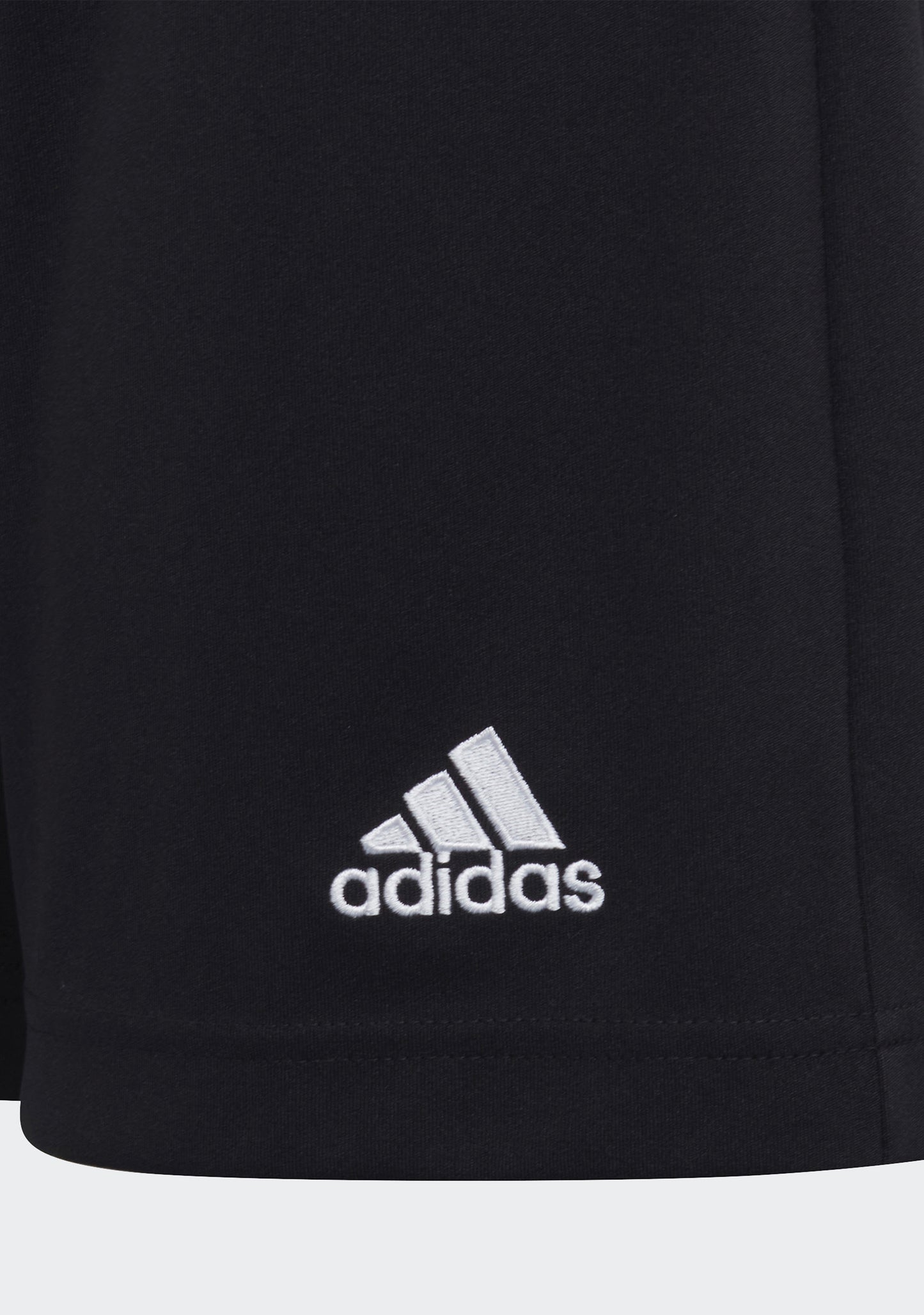 Adidas Junior Entrada 22 Shorts