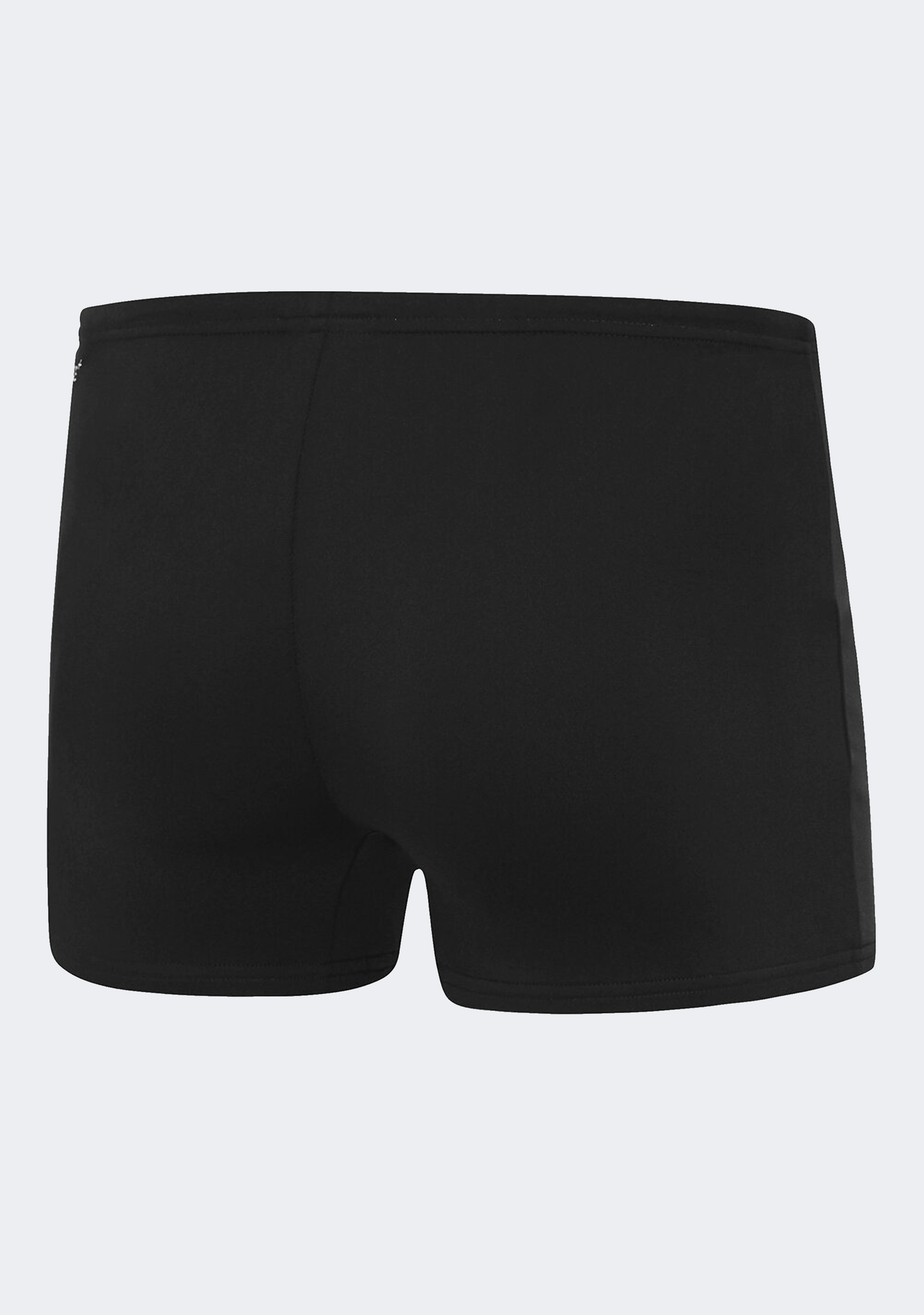 Speedo Men’s Aqua Short