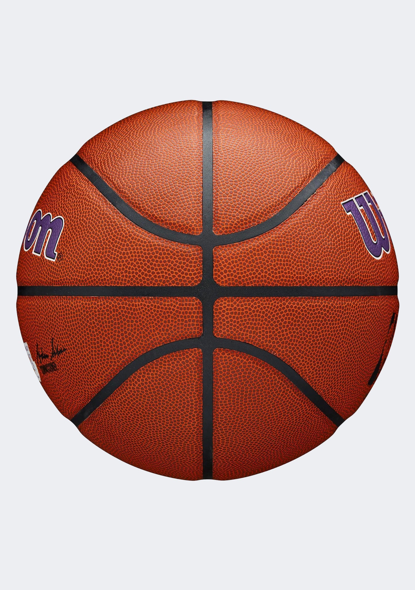 Wilson NBA Team Alliance Basketball Los Angeles Lakers