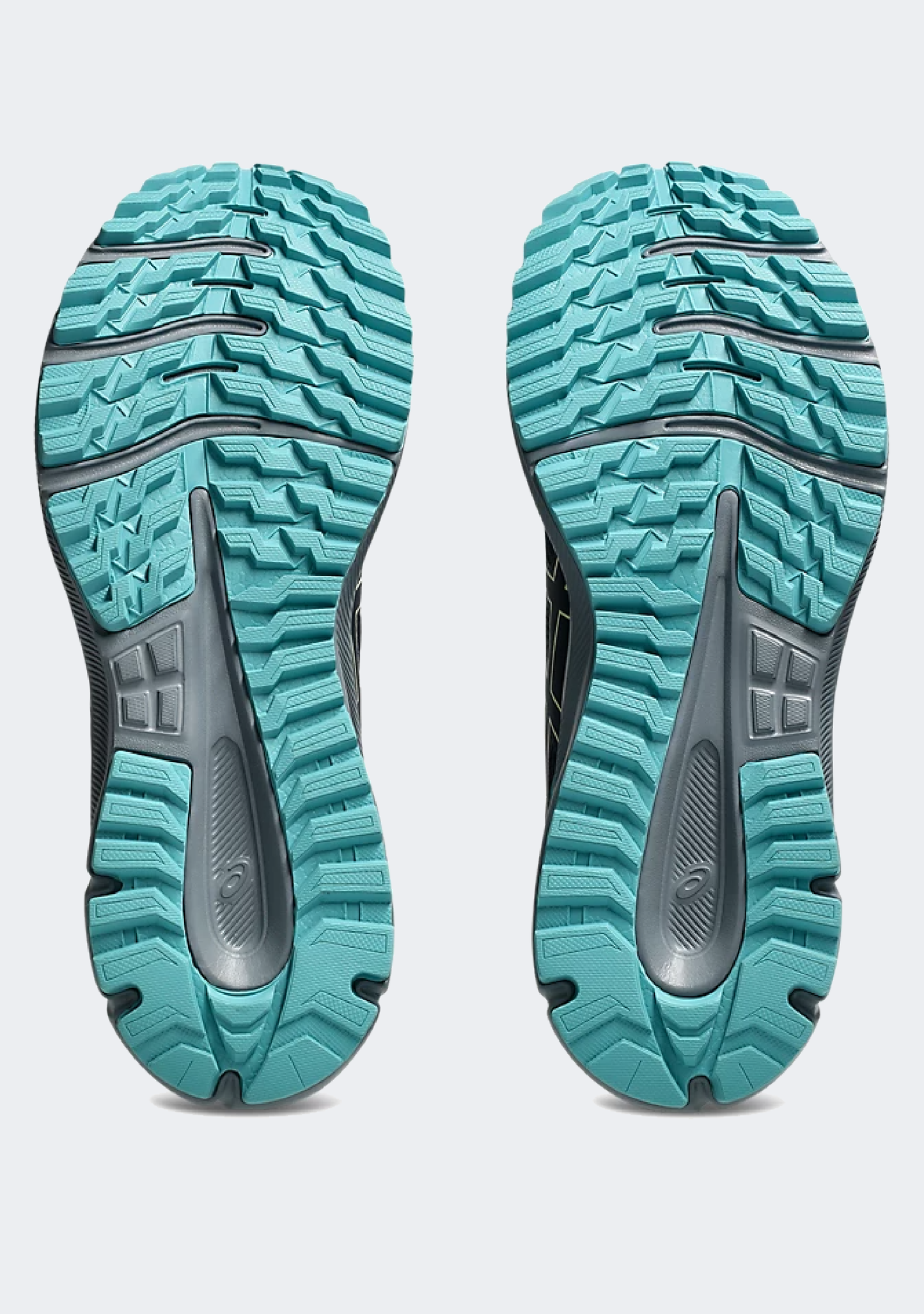 Asics Men's Trail Scout 3