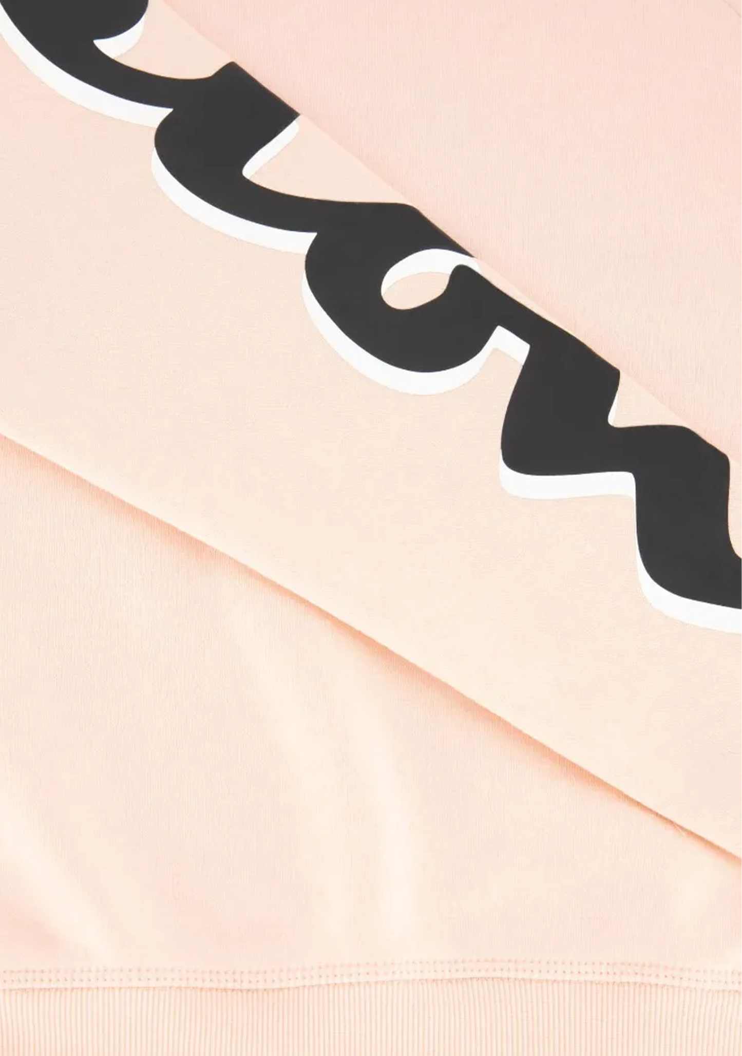 Champion Womens EU Rochester Addict Crew