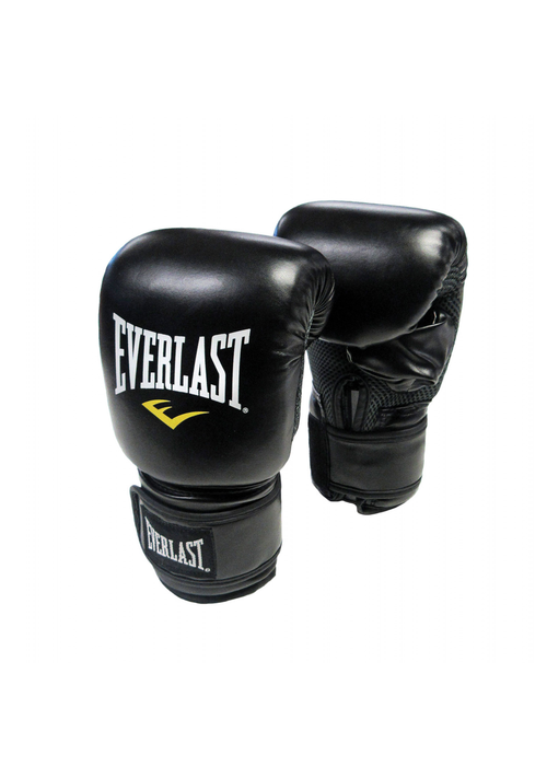 Everlast Punch Bag & Fitness Accessories <BR> DWEQ141197.SILVER