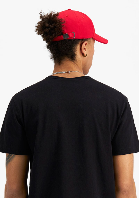 Champion Embroidered C-Life Dad Cap