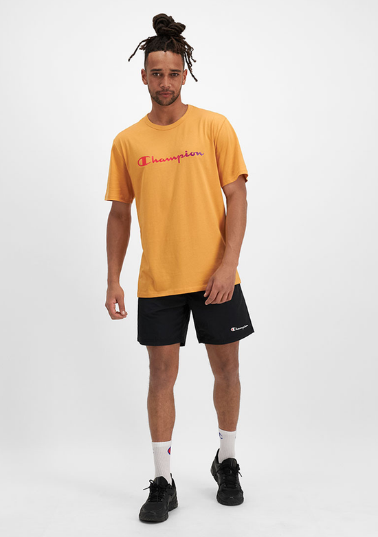 Champion Mens Ombre Script Tee