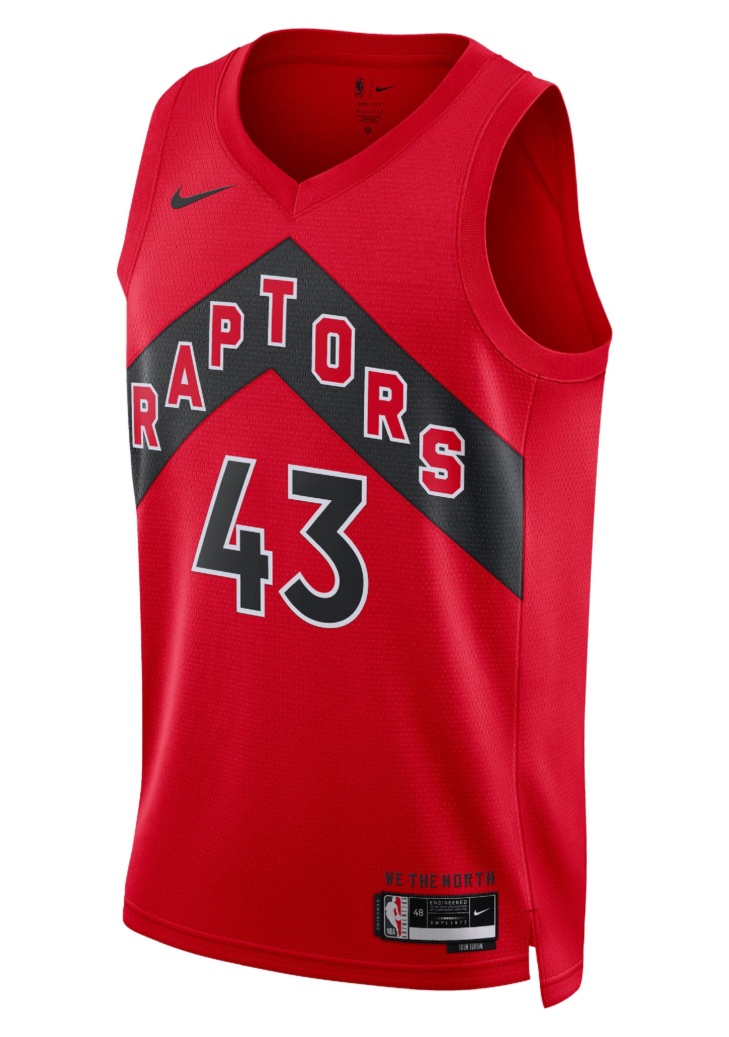 Nike Mens Pascal Siakam Toronto Raptors Icon Edition 2022/23 Dri-FIT NBA Swingman Jersey