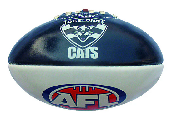 Burley PVC AFL Geelong Football 20cm