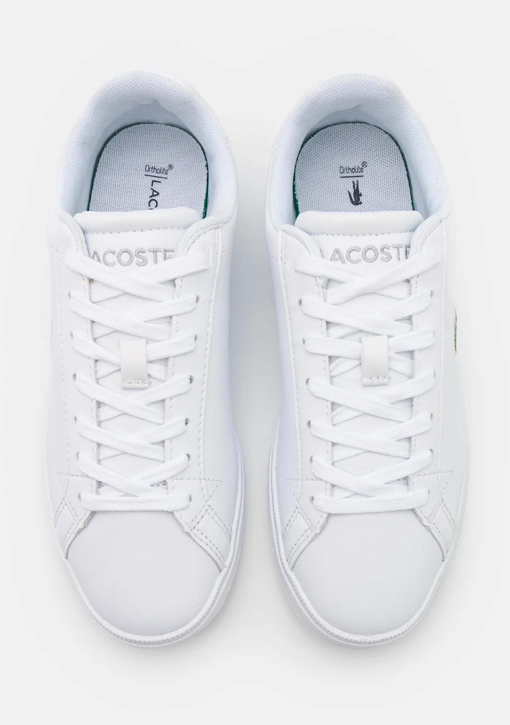 Lacoste Men's Graduate
