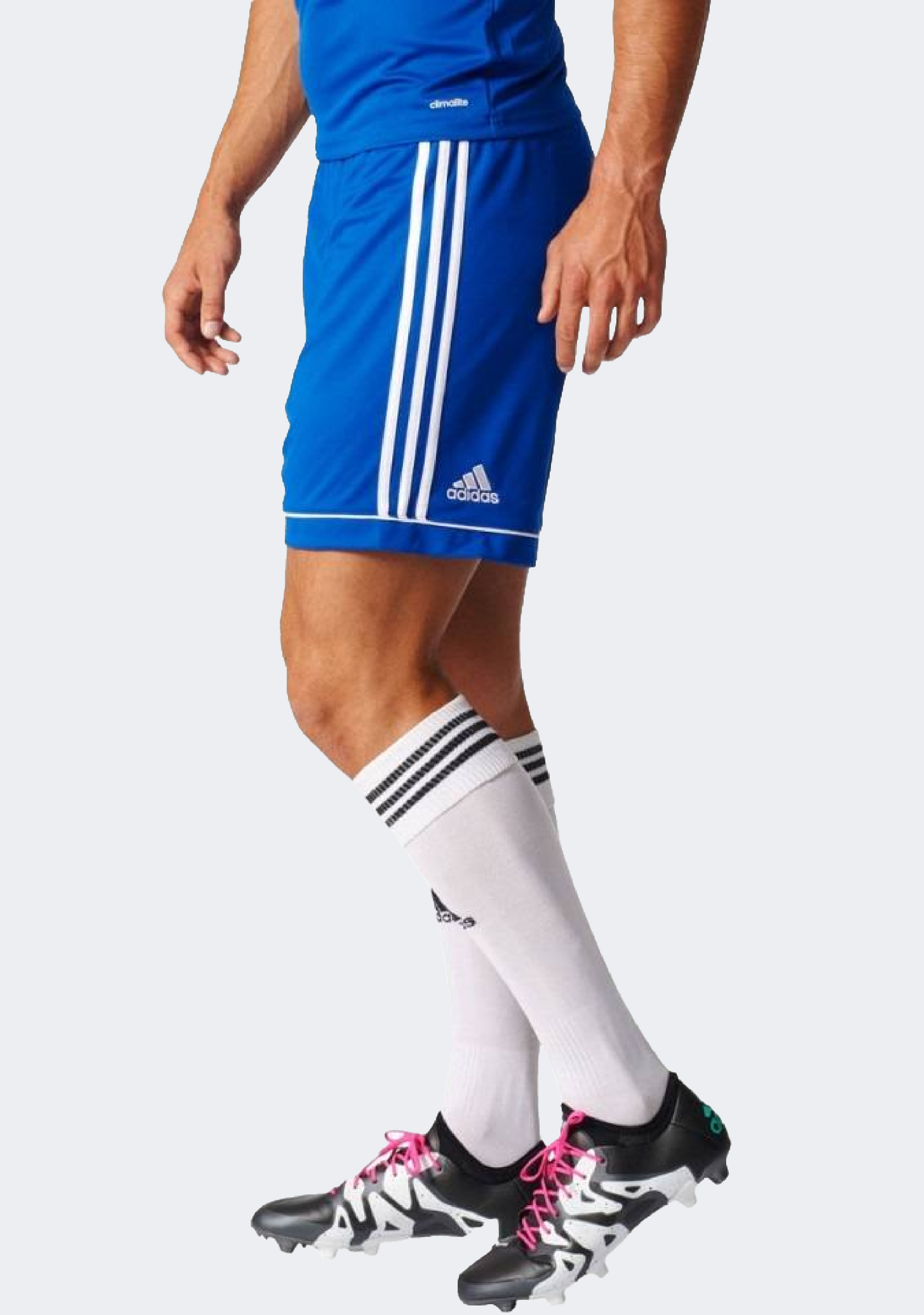 Adidas Men's Squad 17 Shorts