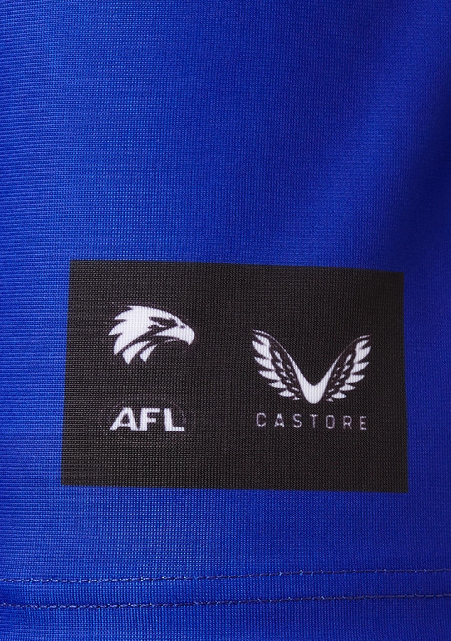 Castore Men's West Coast Eagles Home Guernsey (2022)