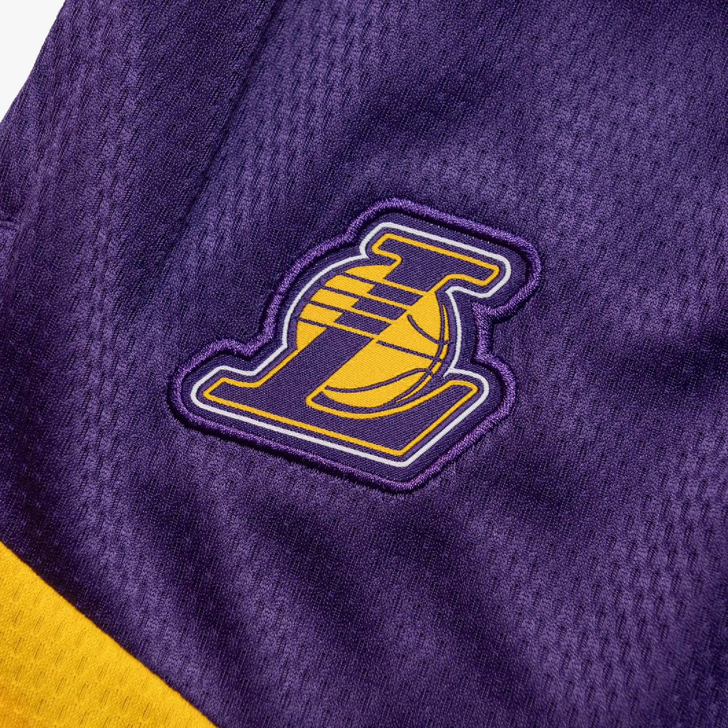 Nike Men's Los Angeles Lakers Icon Practice Shorts