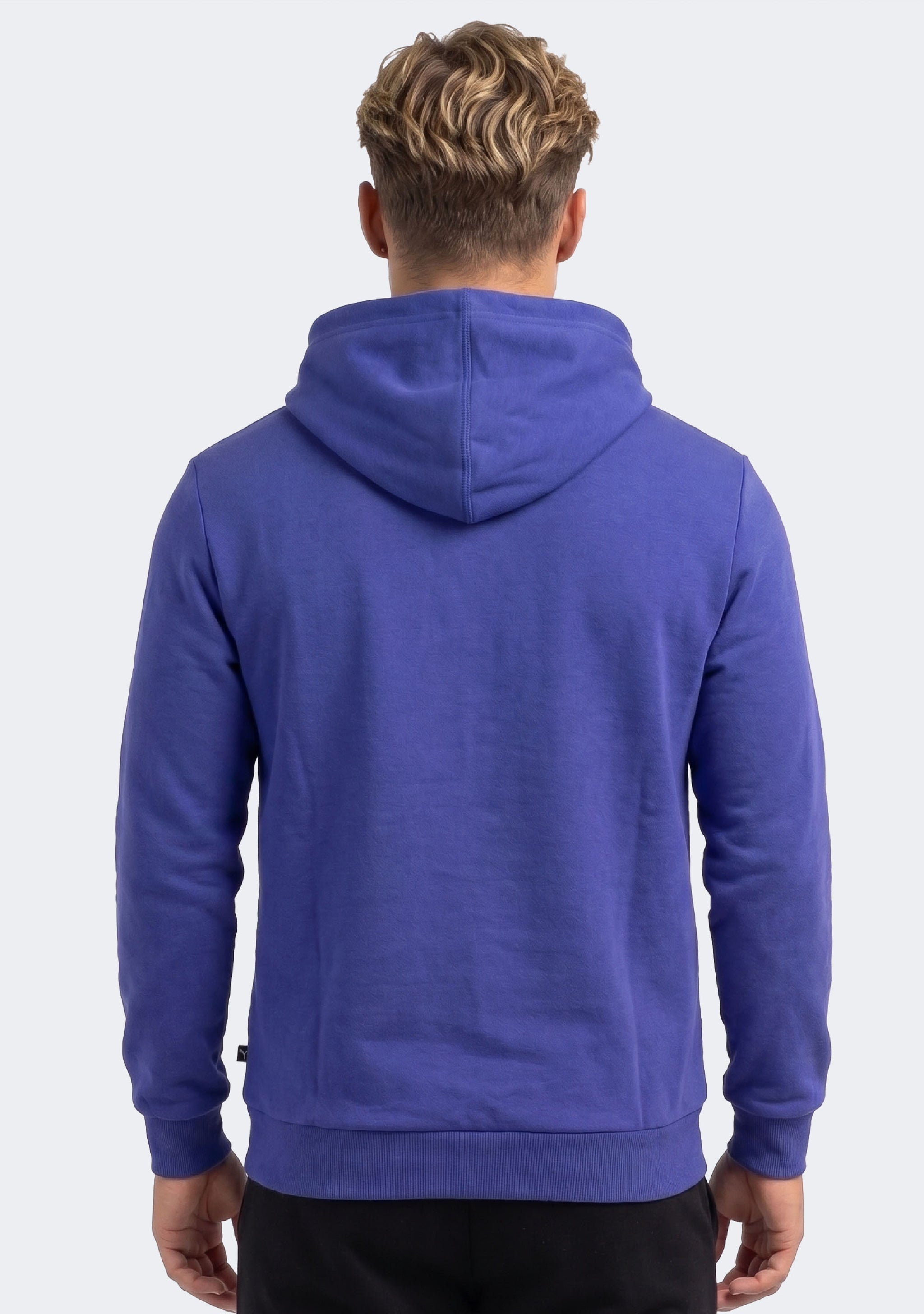 Puma Men's Essentials+ Two Tone Big Logo Hoodie