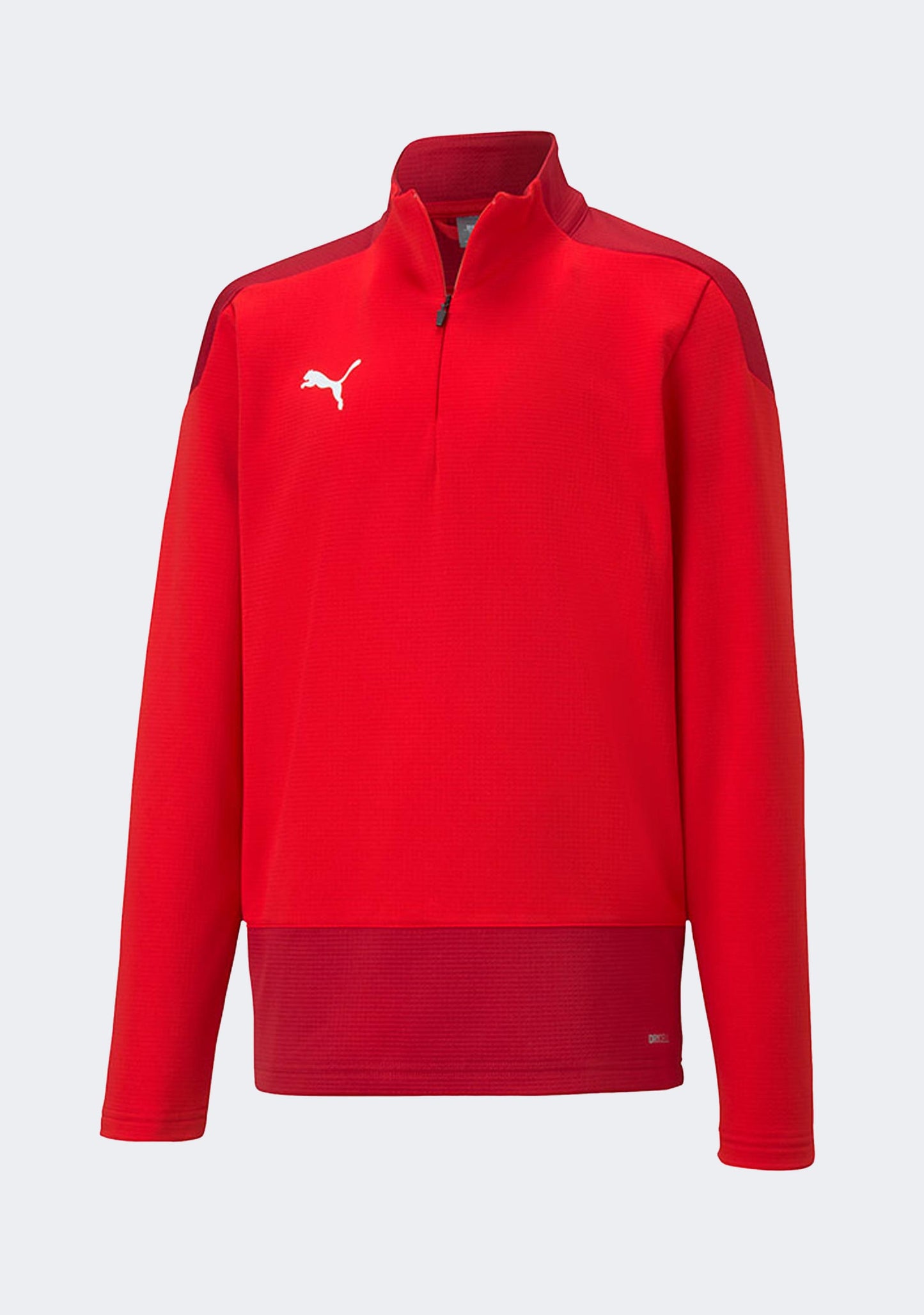 Puma Kids' TeamGOAL 23 Training 1/4 Zip Top