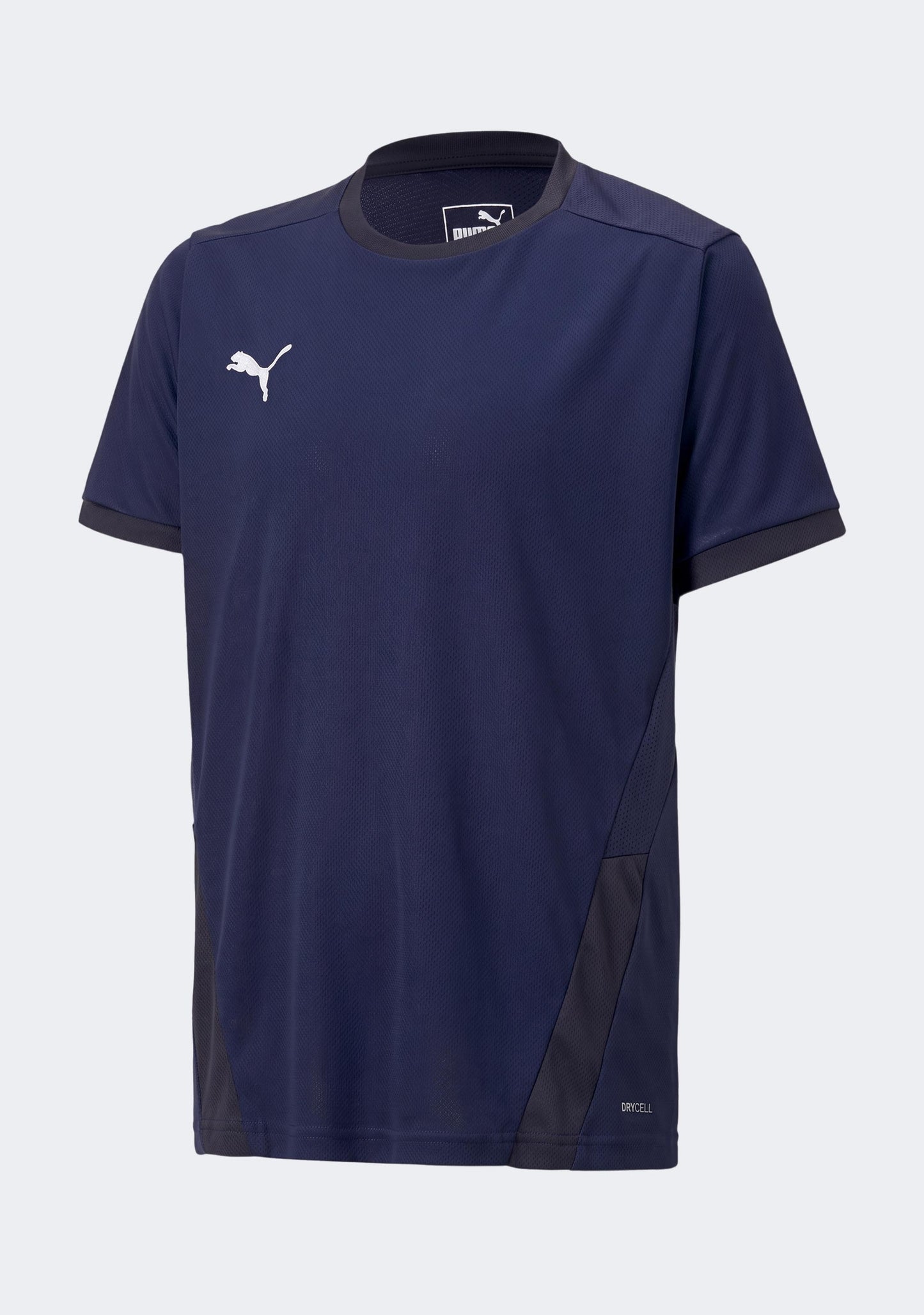 Puma Kids' TeamGOAL 23 Jersey