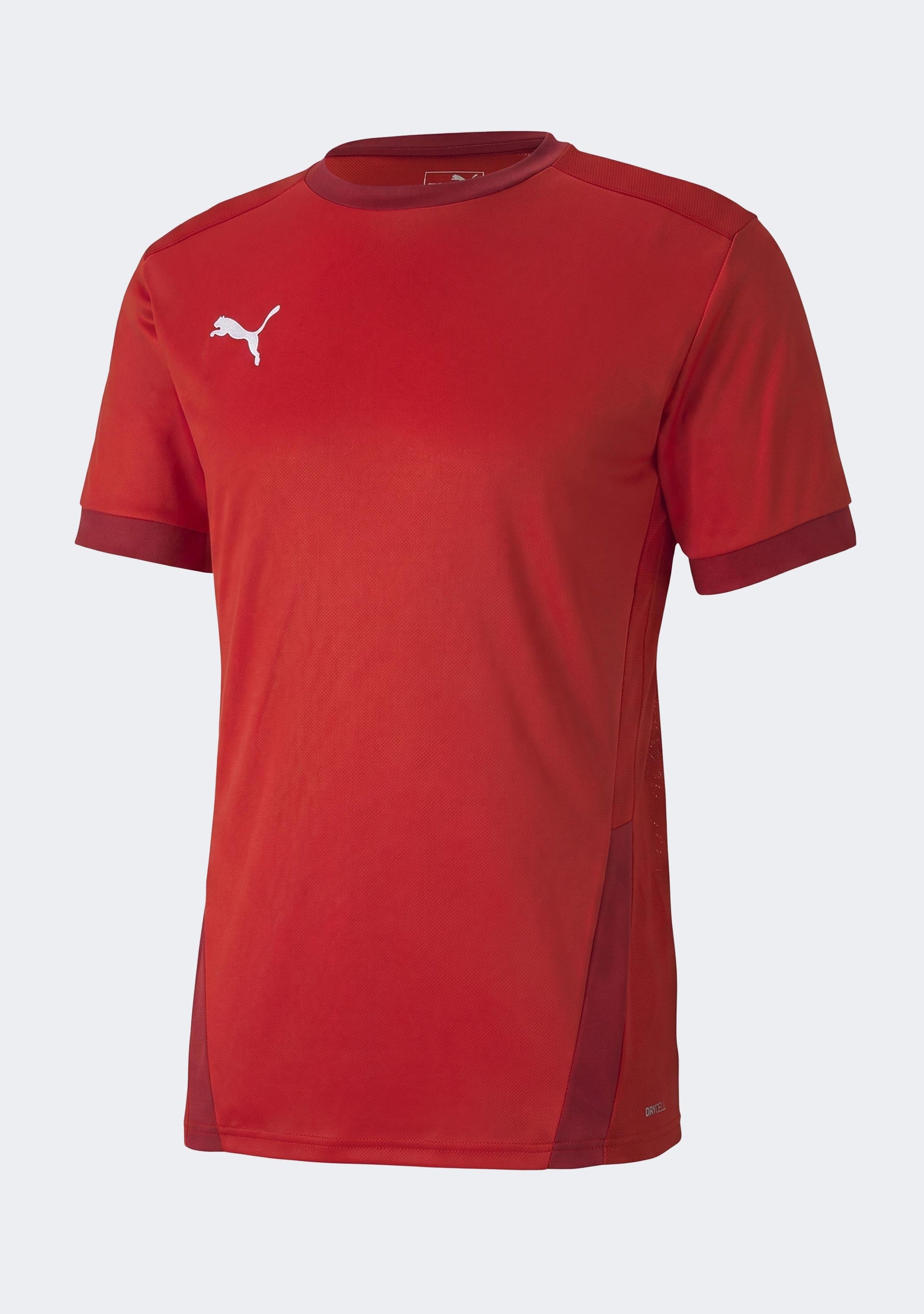 Puma Men's TeamGOAL 23 Jersey