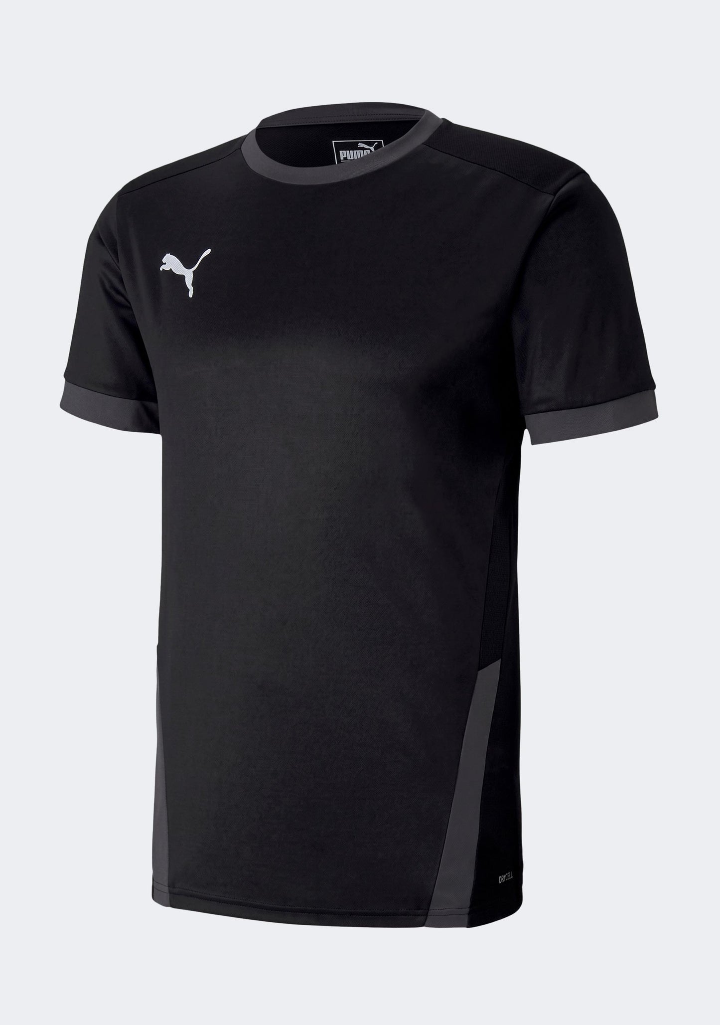 Puma Men's TeamGoal 23 Jersey