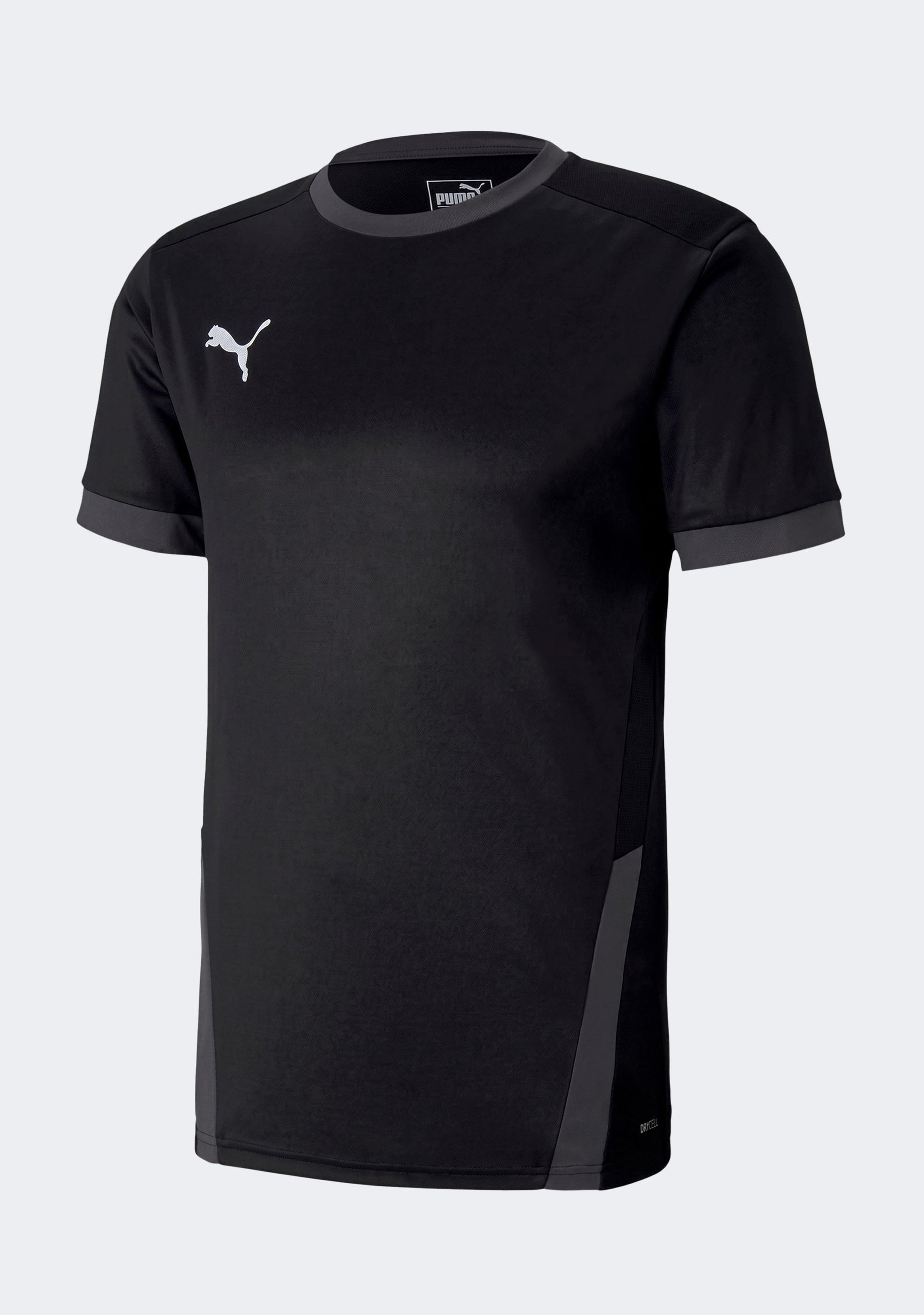 Puma Men's TeamGoal 23 Jersey