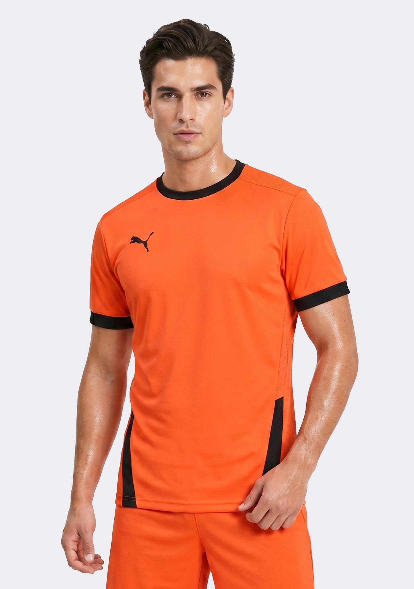 Puma Men's TeamGOAL 23 Jersey