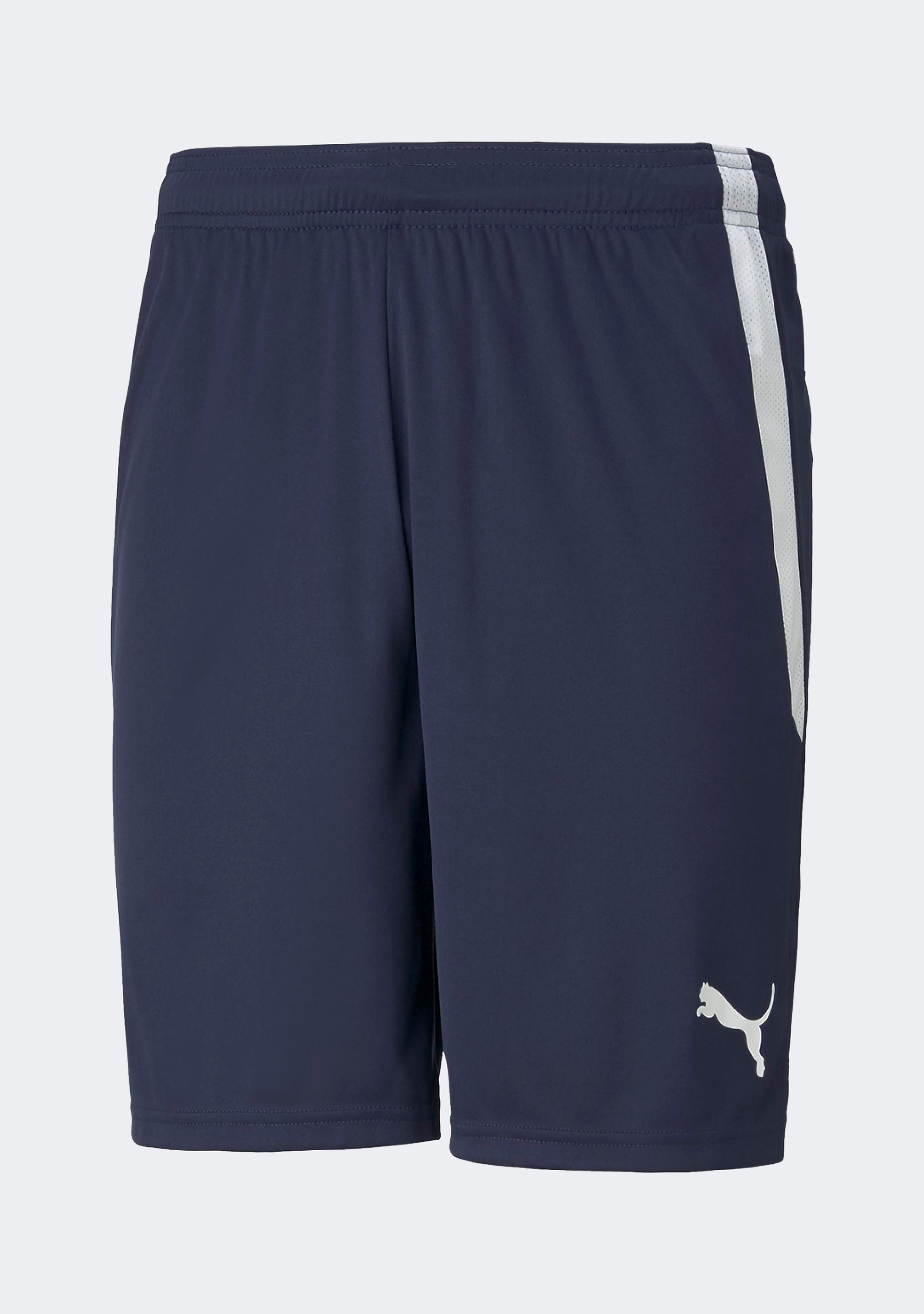 Puma Men's Team Liga Shorts