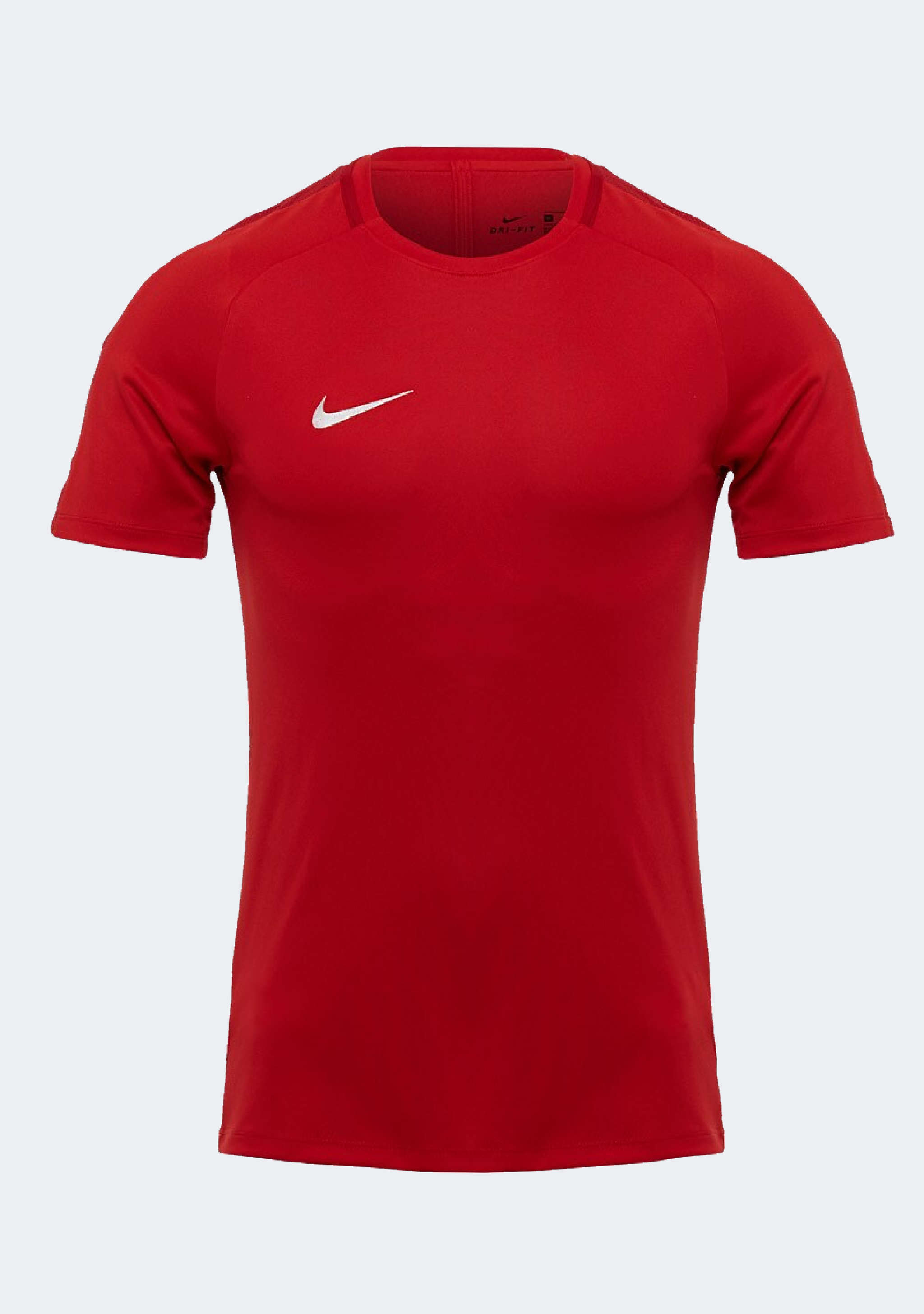 Nike Men's Academy 18 S/S Top