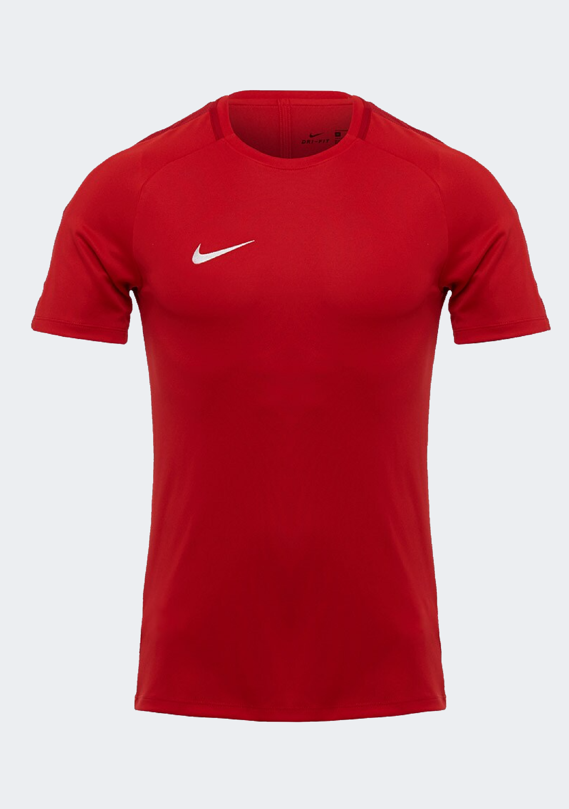 Nike Men's Academy 18 S/S Top