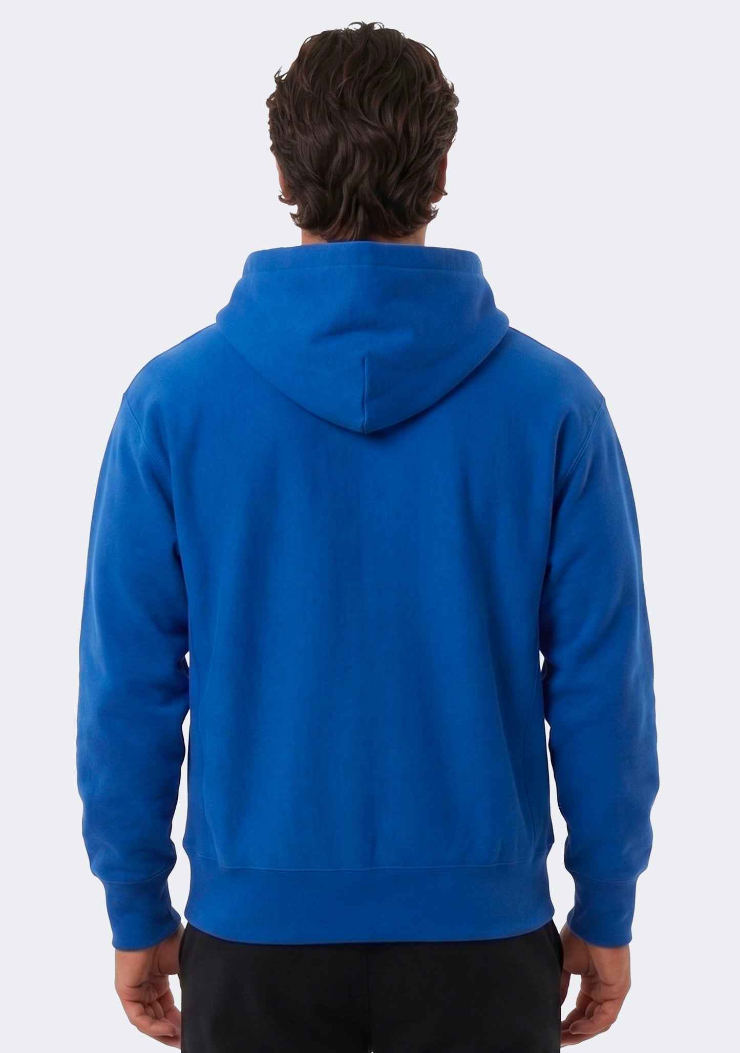 Champion Men's Reverse Weave Felt Script Hood