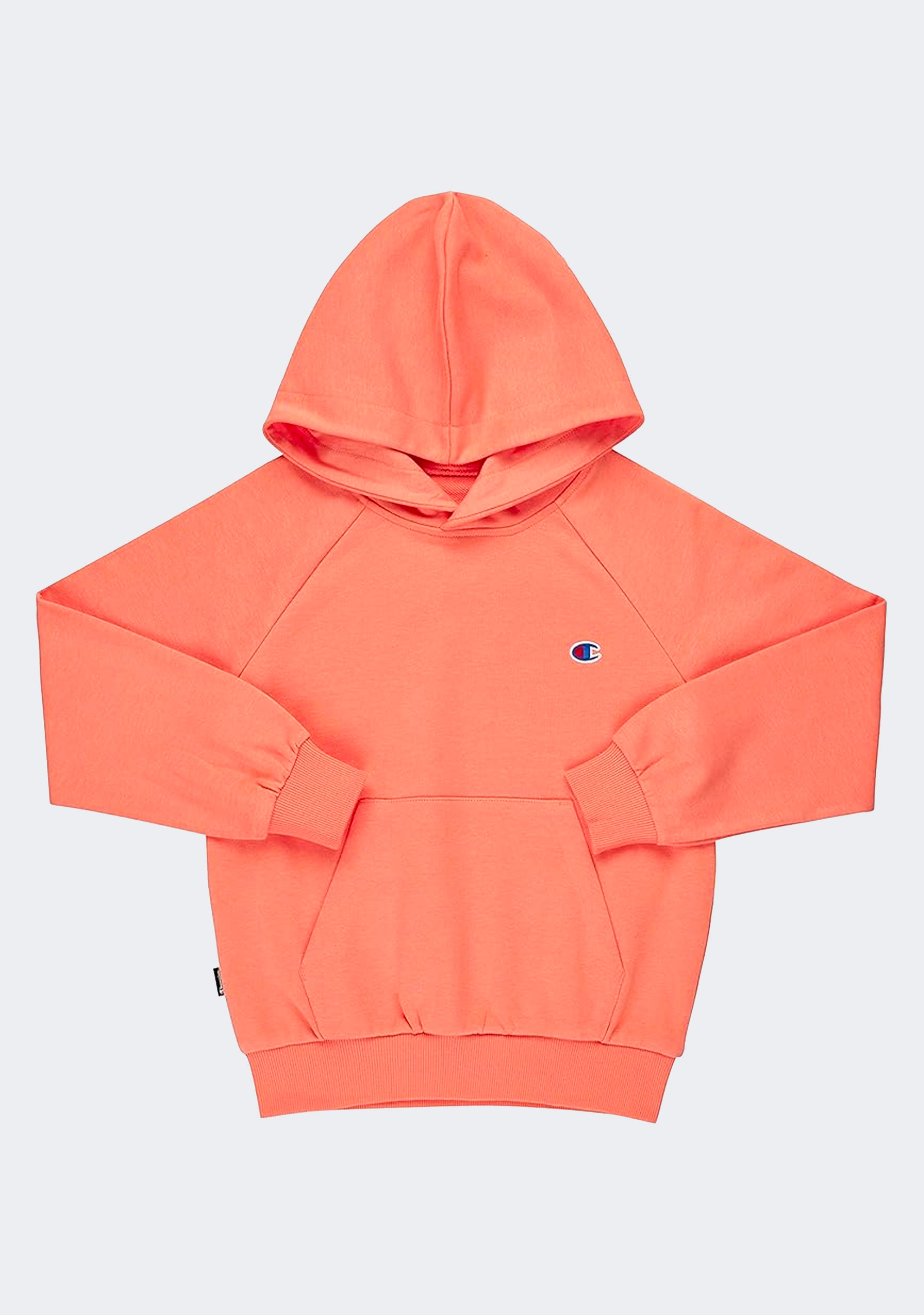 Champion Kids' French Terry Script Hoodie