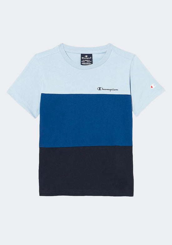 Champion Men's EU Rochester Colourmix Tee