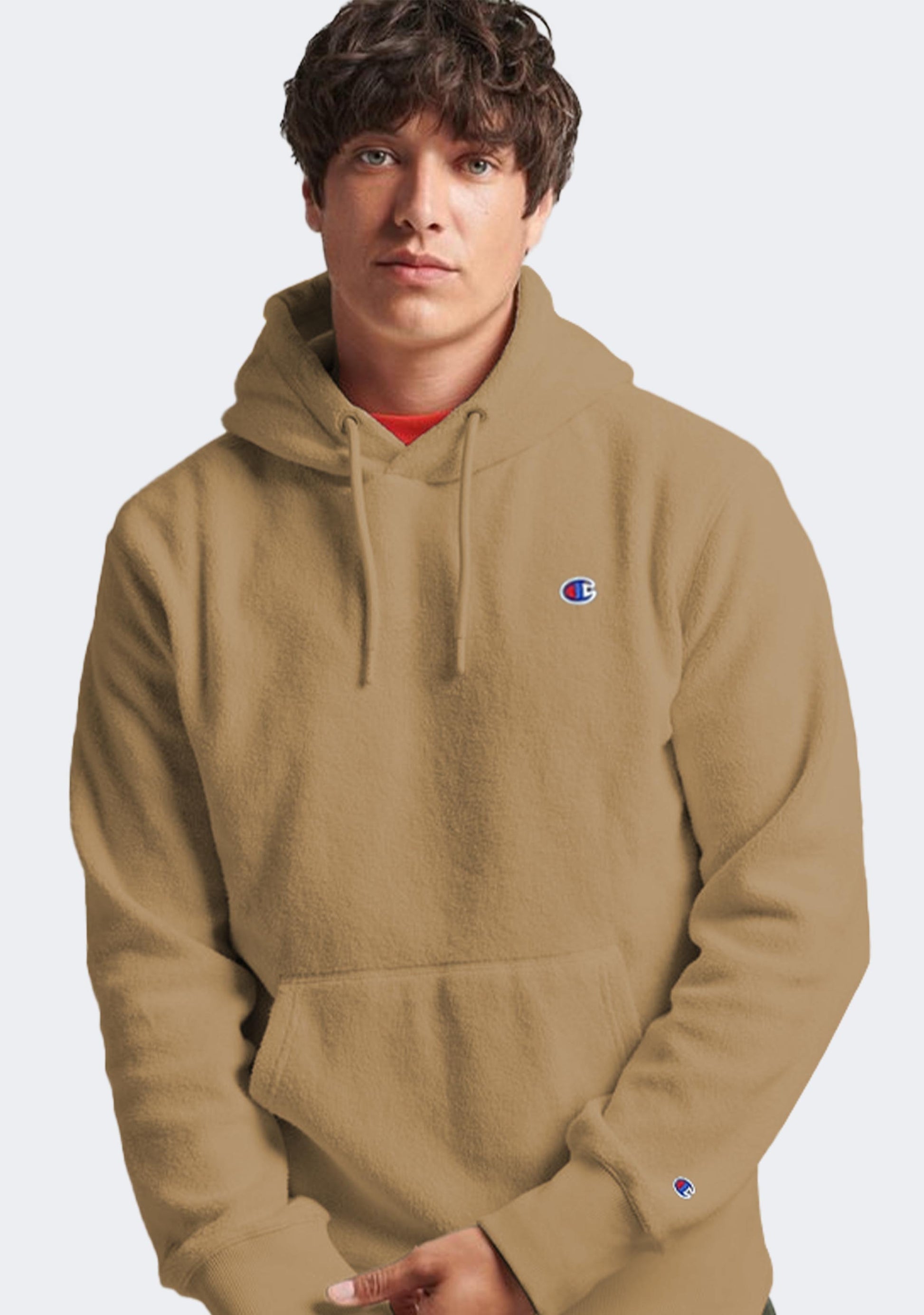 Champion Men's Rochester Polar Hoodie